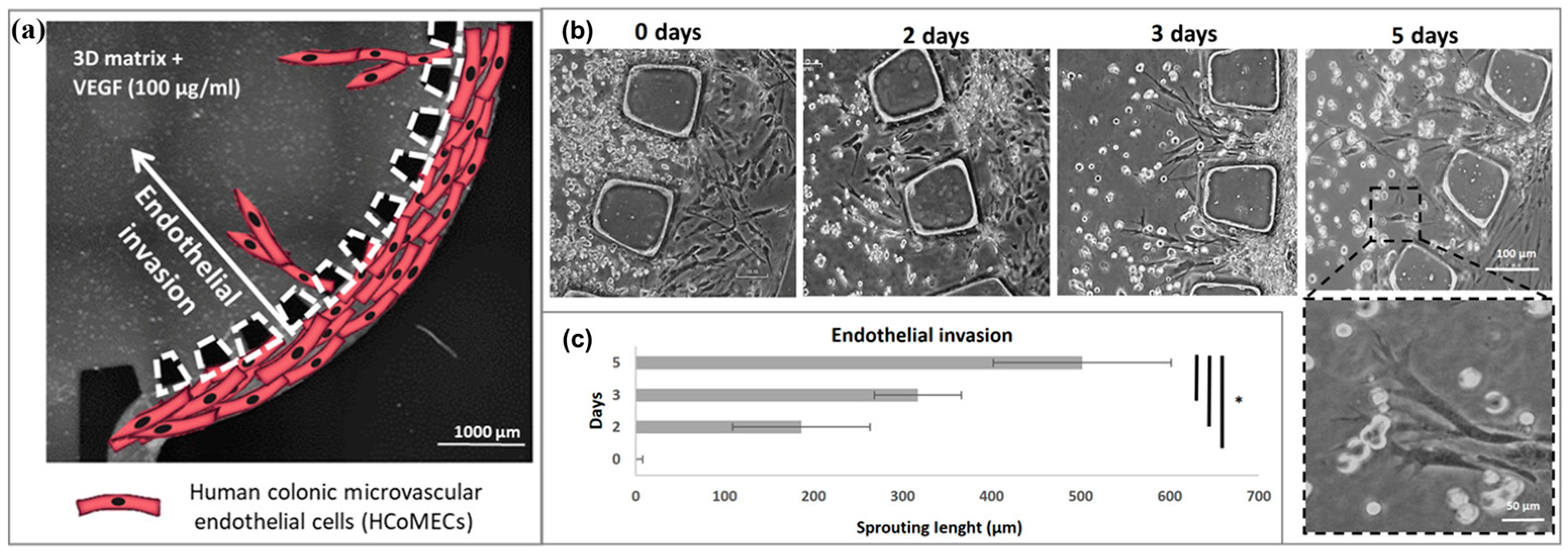 Applsci 14 06780 g005