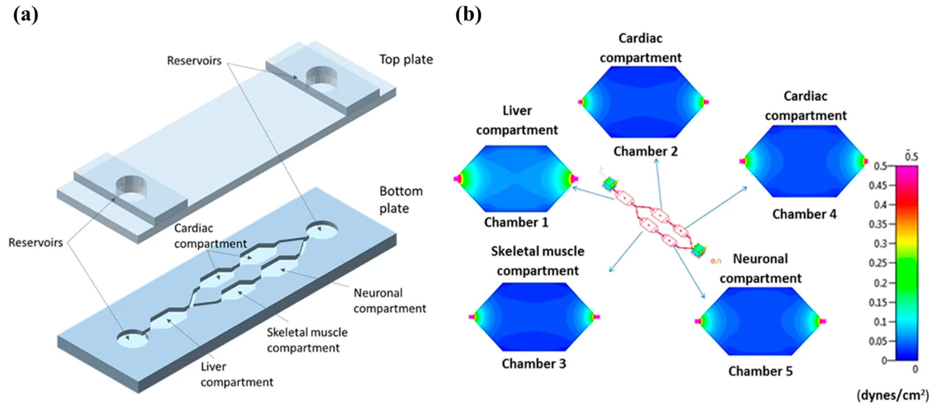Applsci 14 06780 g007