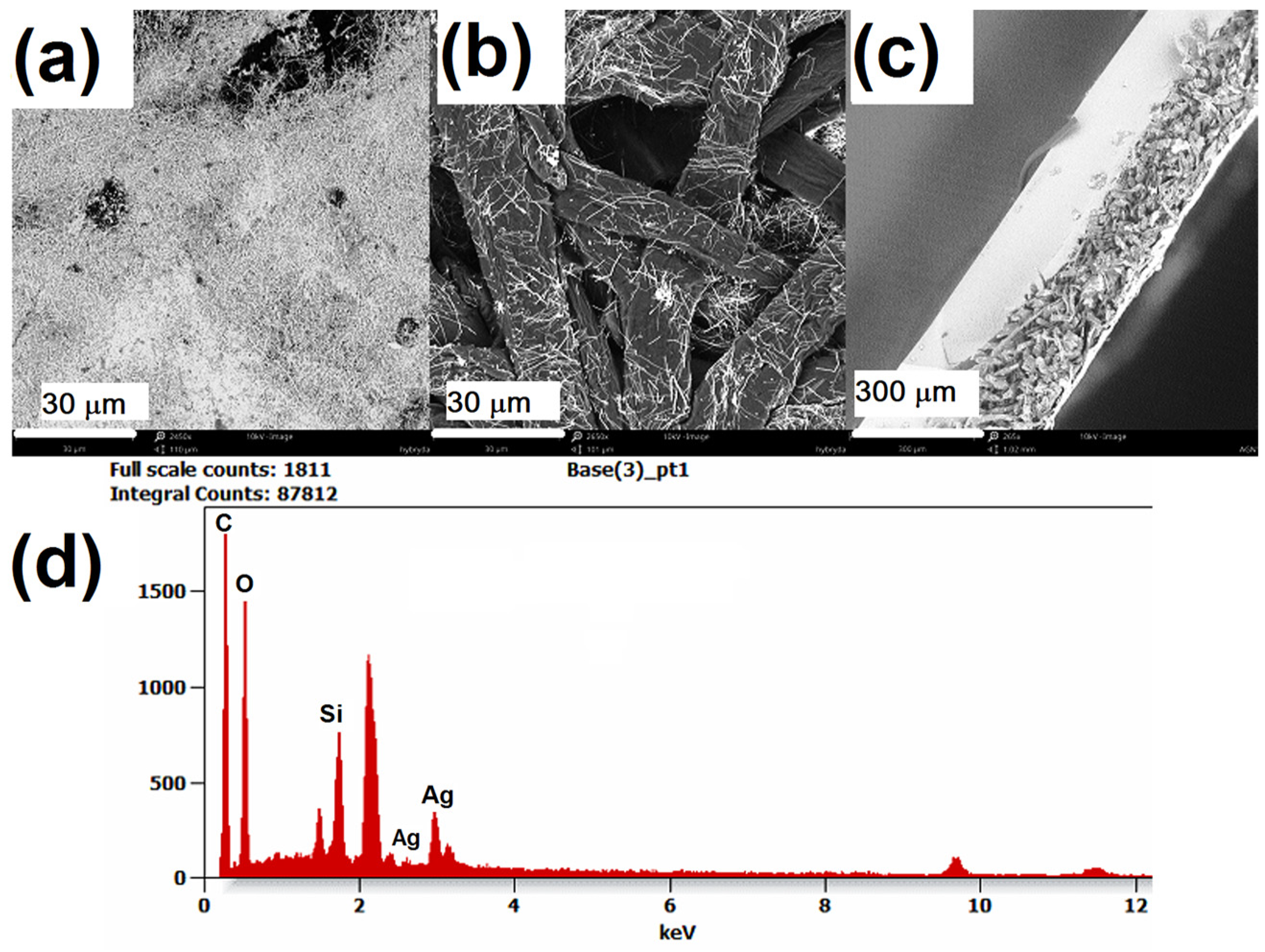 Applsci 14 06783 g003