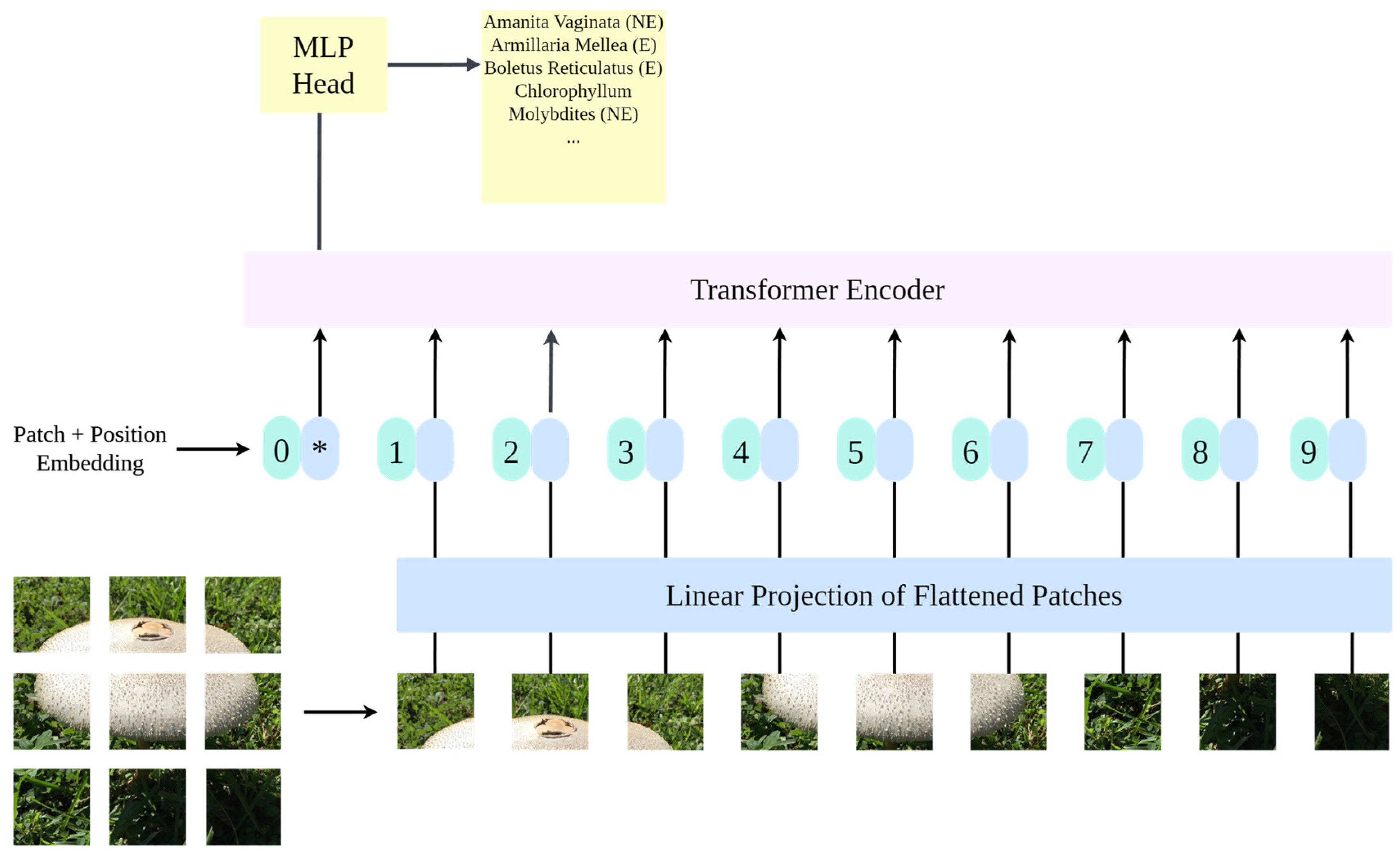 Applsci 14 06794 g003