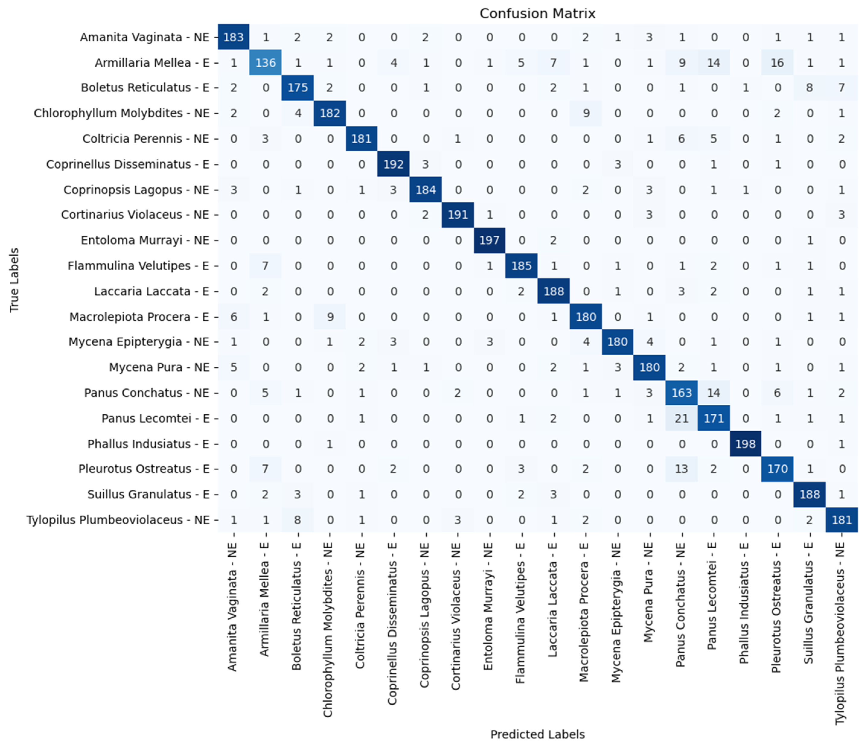 Applsci 14 06794 g006