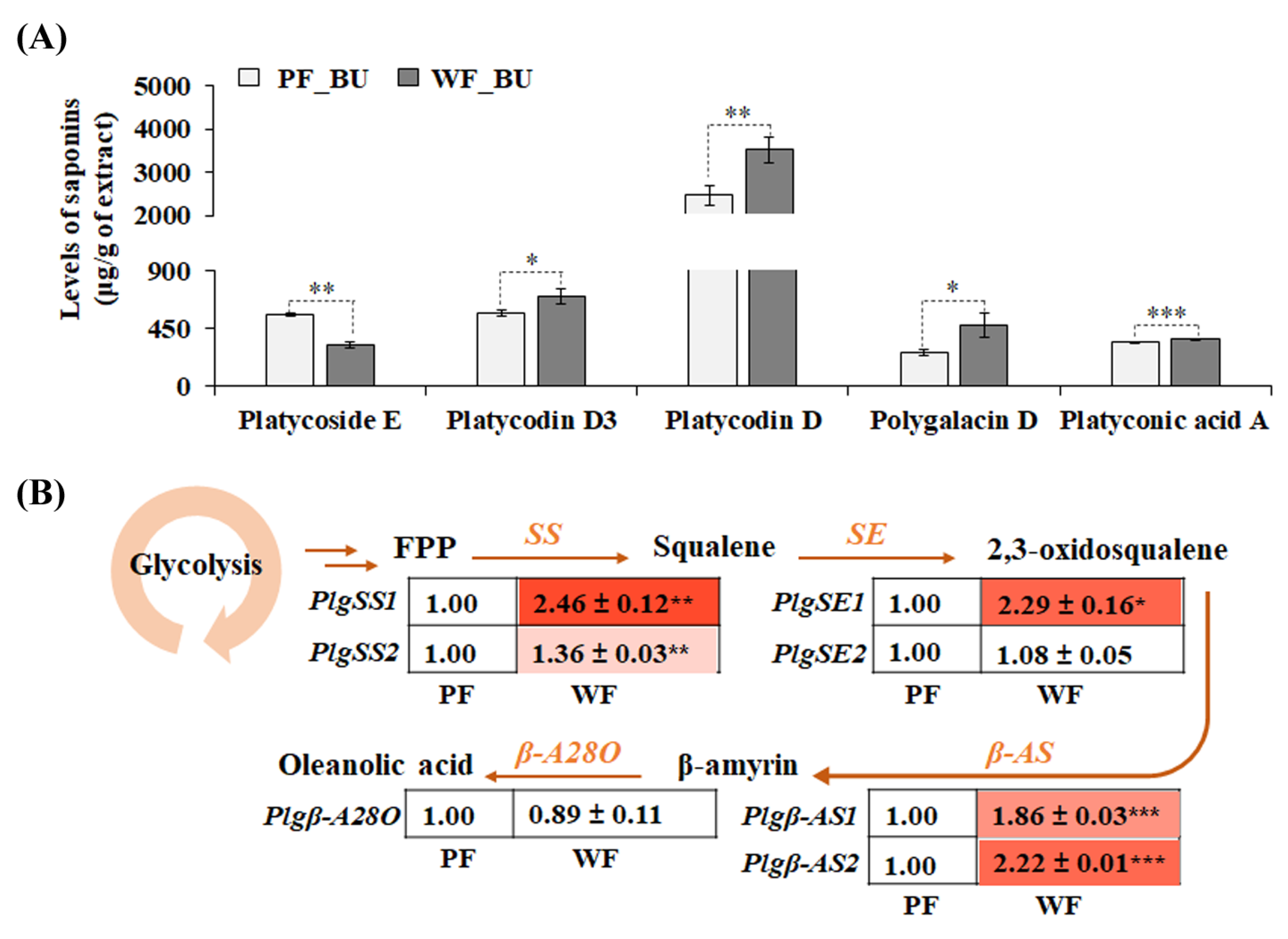 Applsci 14 06867 g002