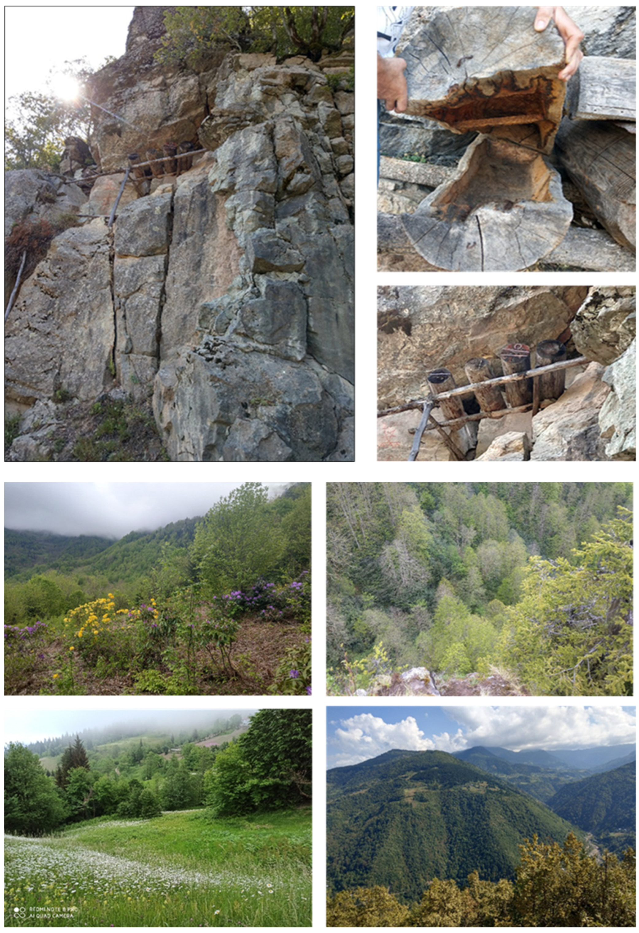 Applsci 14 06874 g002