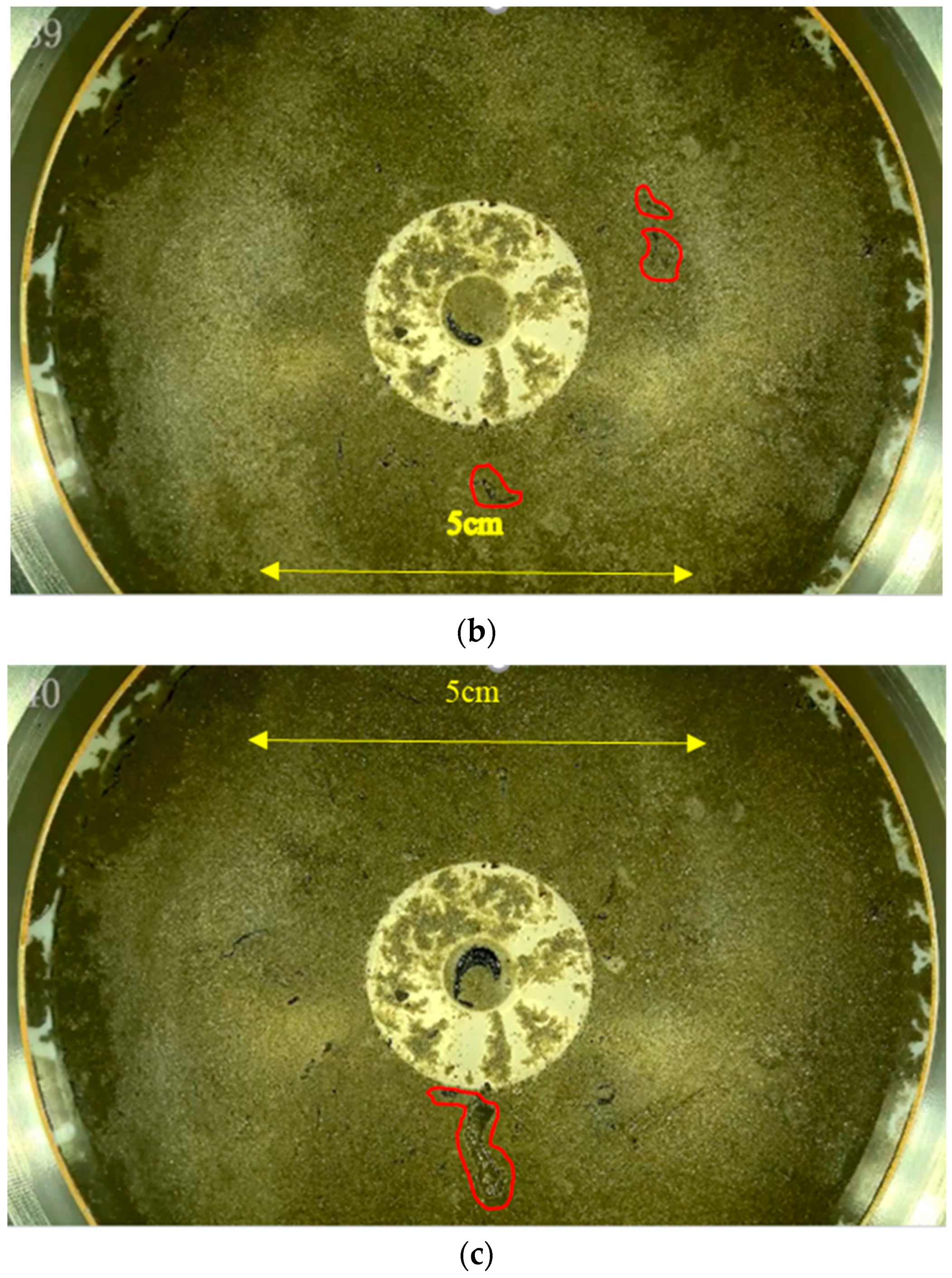 Applsci 14 06906 g013b