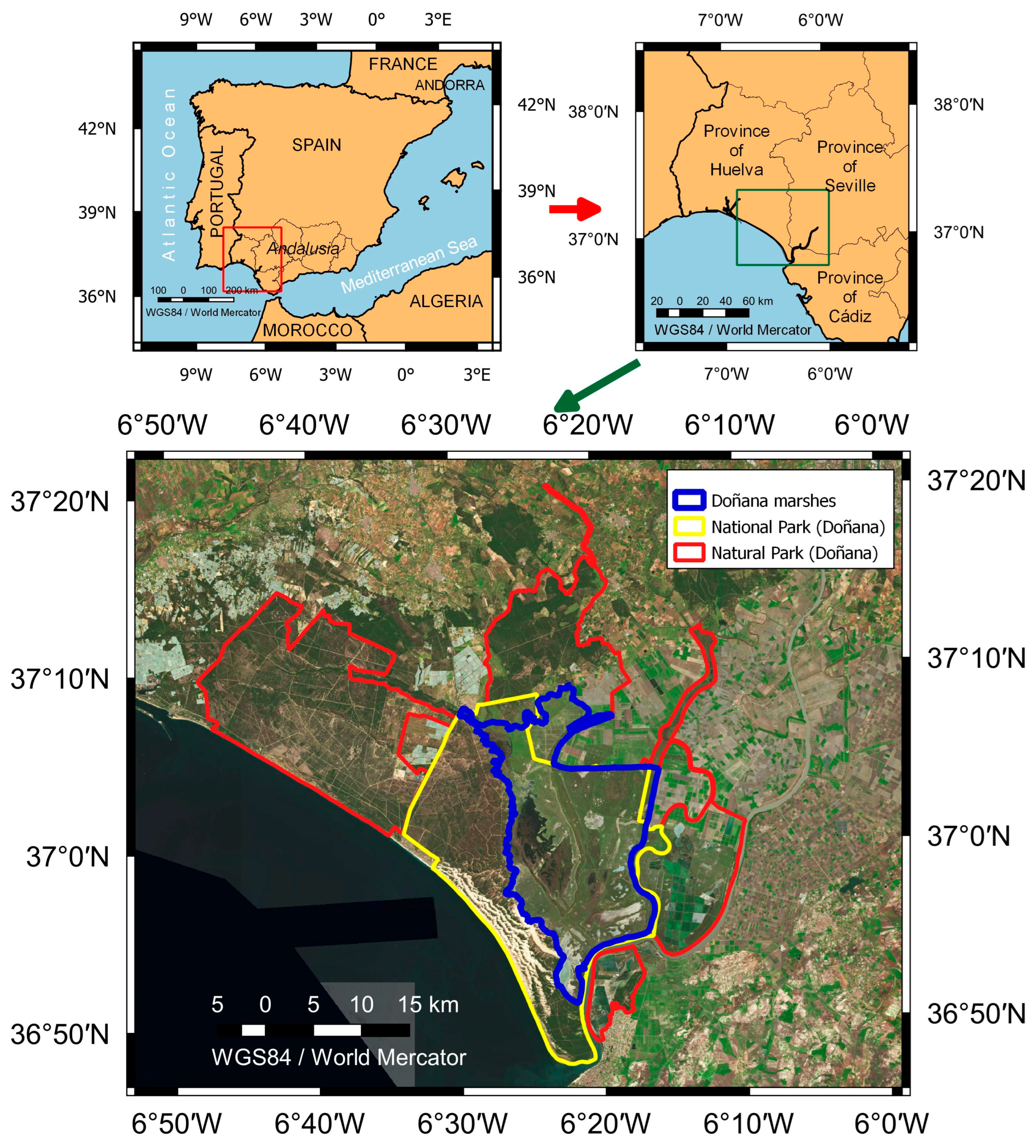 Applsci 14 06919 g001