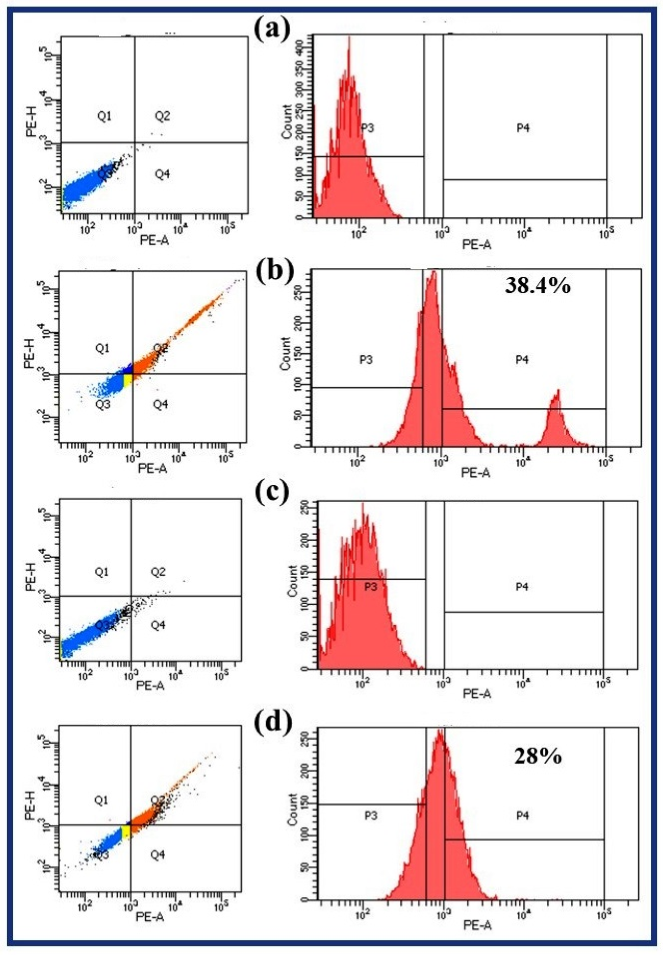 Applsci 14 06926 g006
