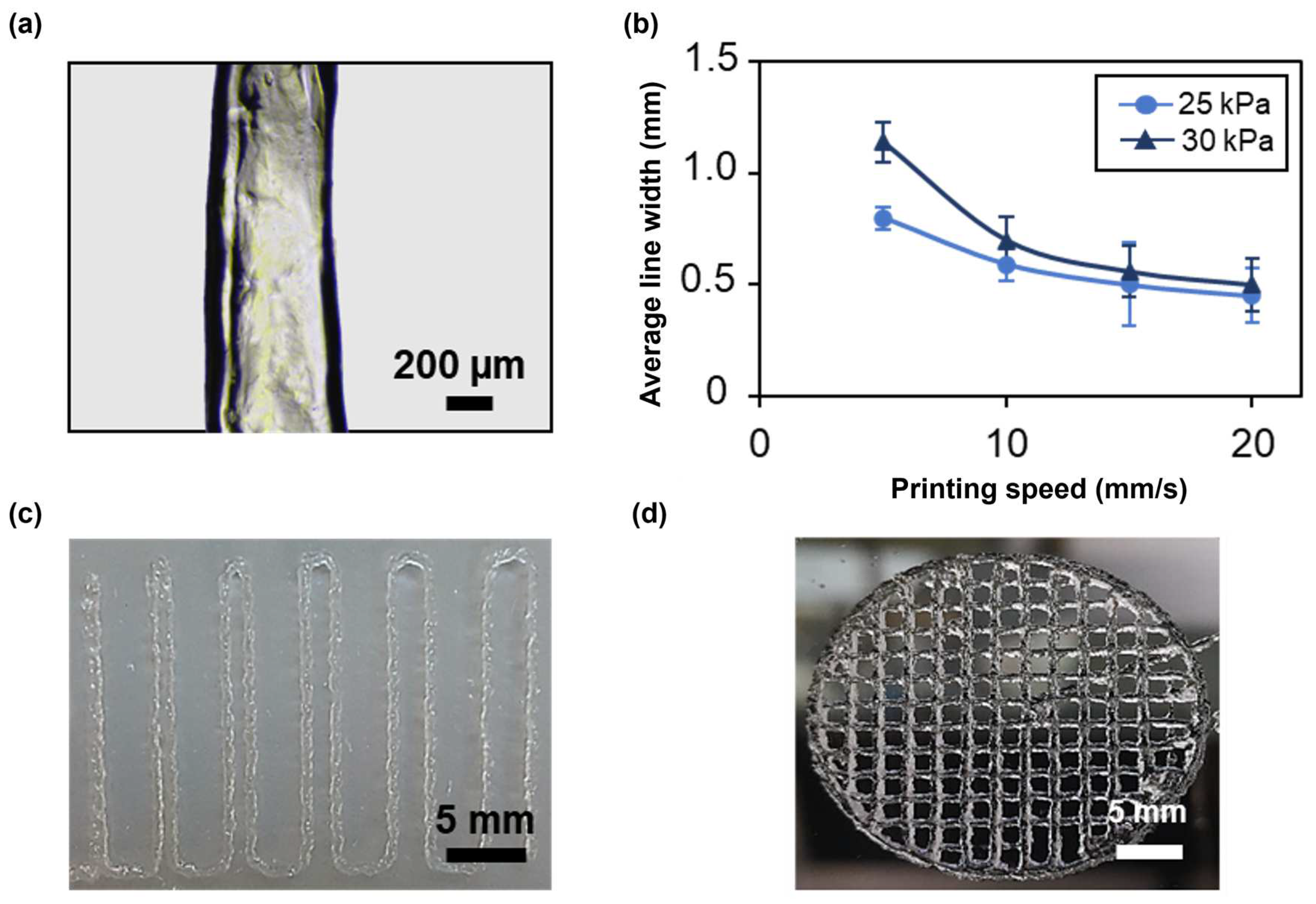 Applsci 14 06980 g007