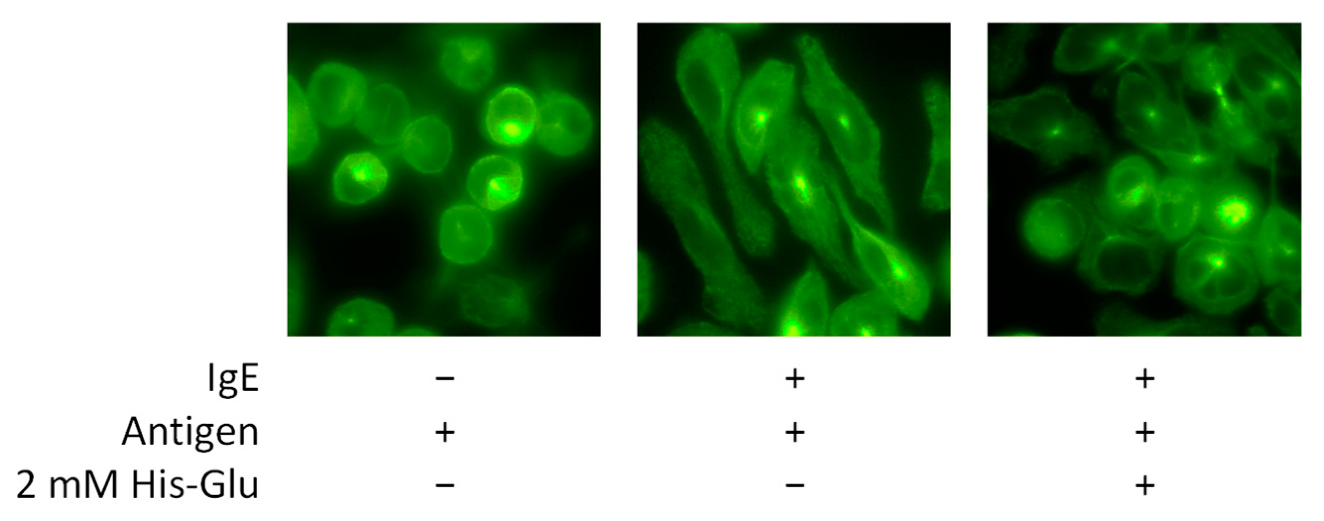 Applsci 14 07048 g003