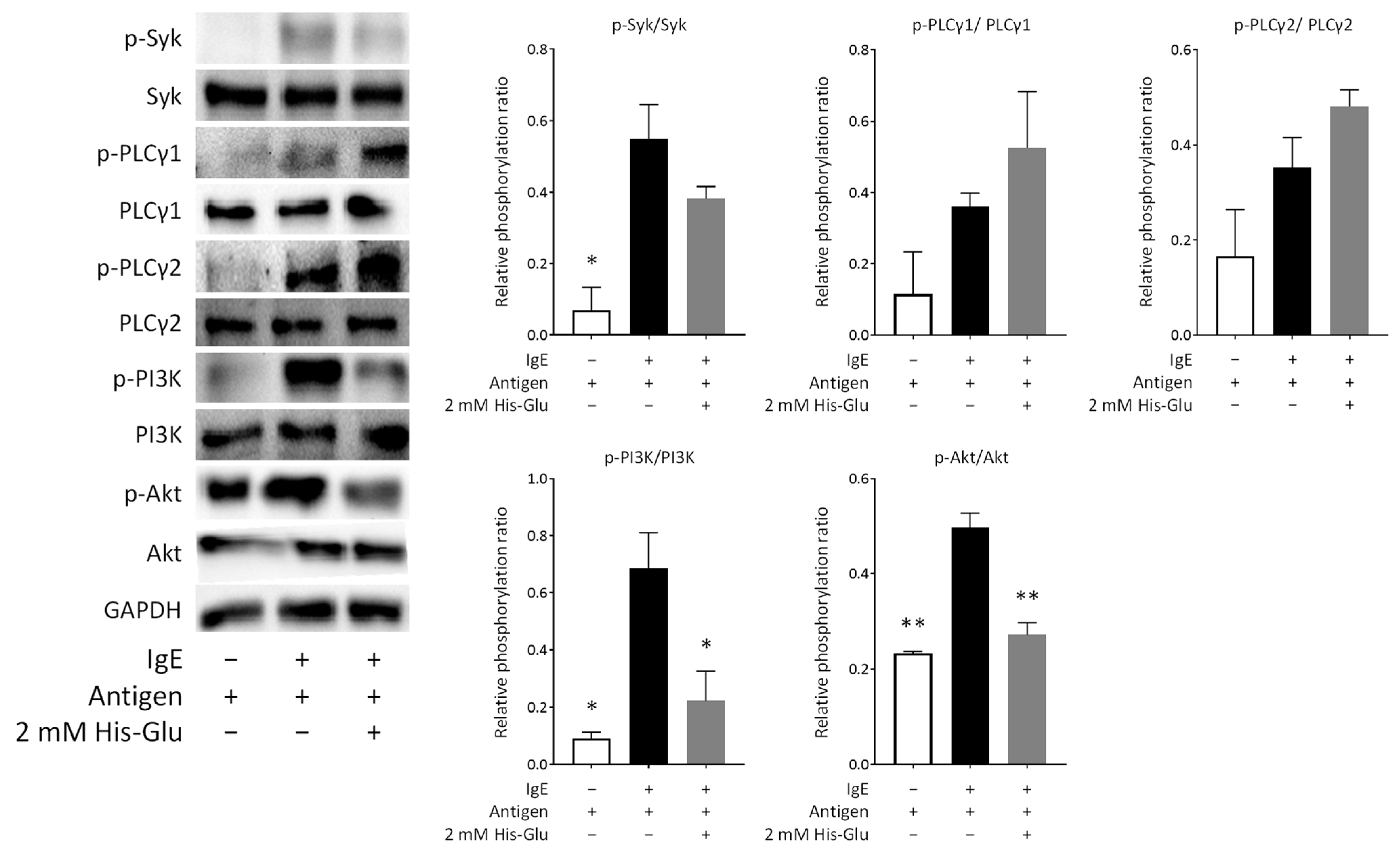 Applsci 14 07048 g004