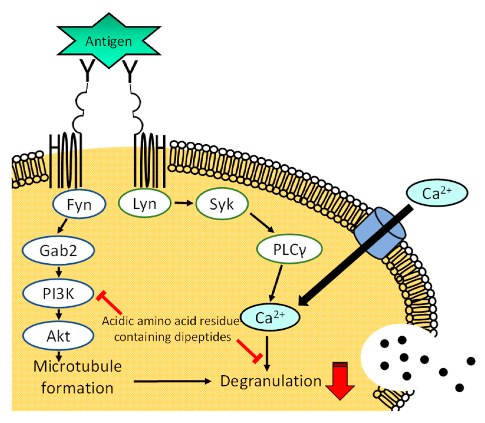 Applsci 14 07048 g005