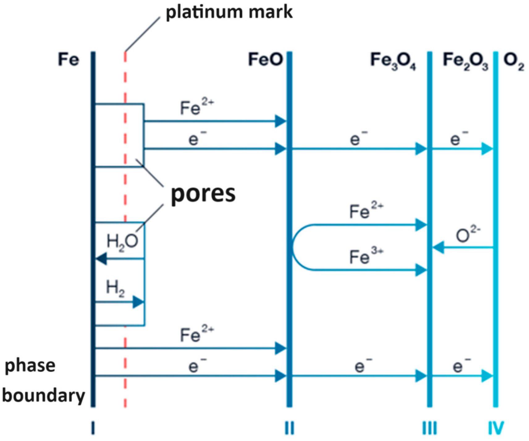 Applsci 14 07056 g004