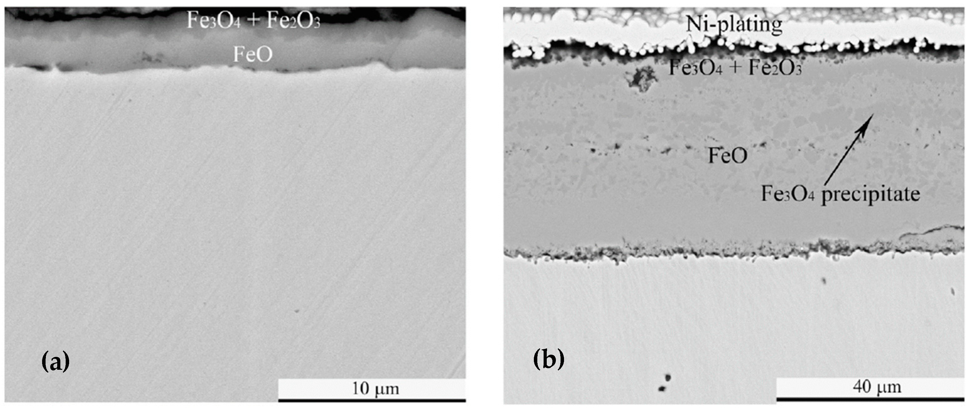 Applsci 14 07056 g005