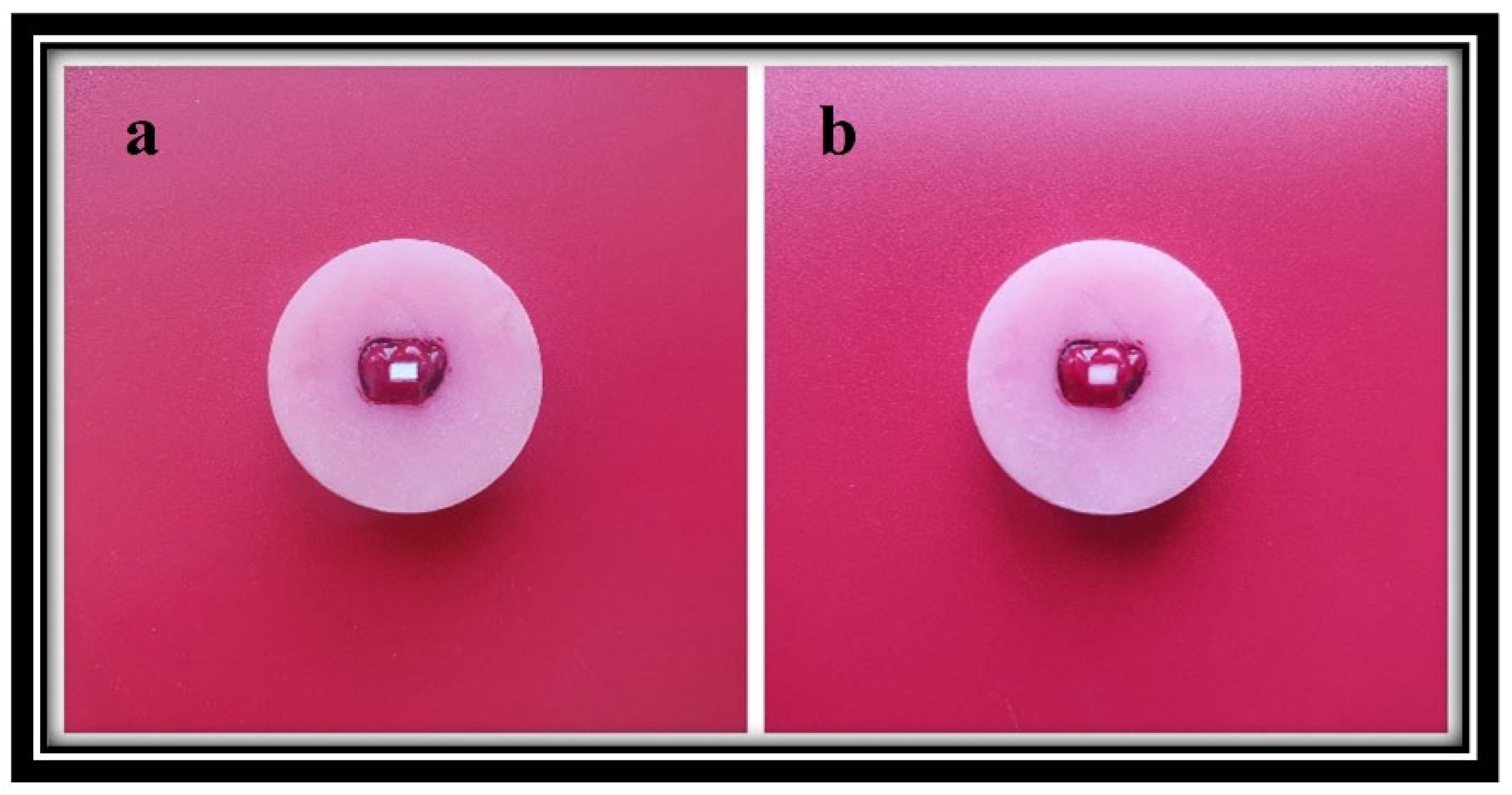 Applsci 14 07232 g001 Applsci 14 07232 g001