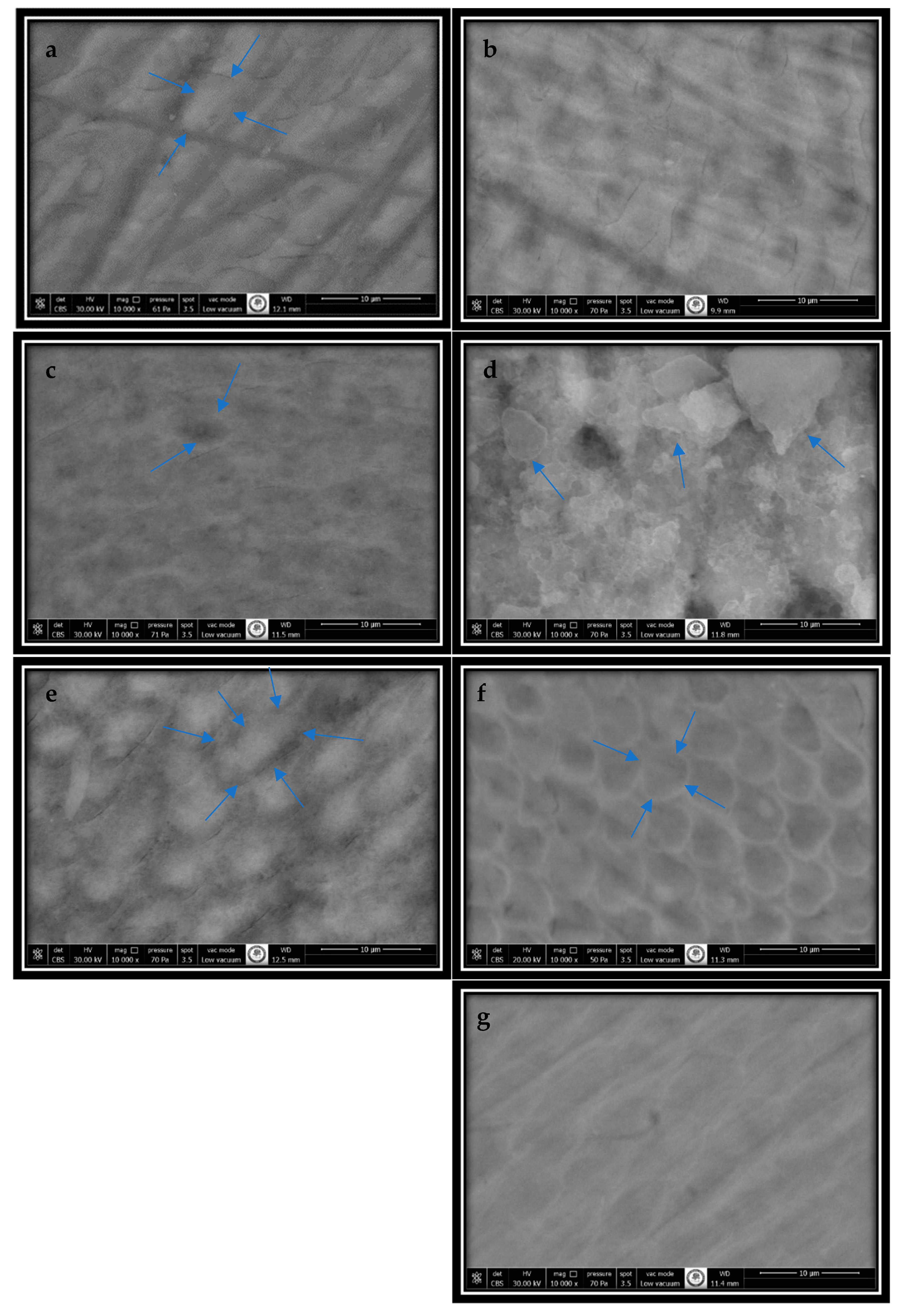 Applsci 14 07232 g004 Applsci 14 07232 g004