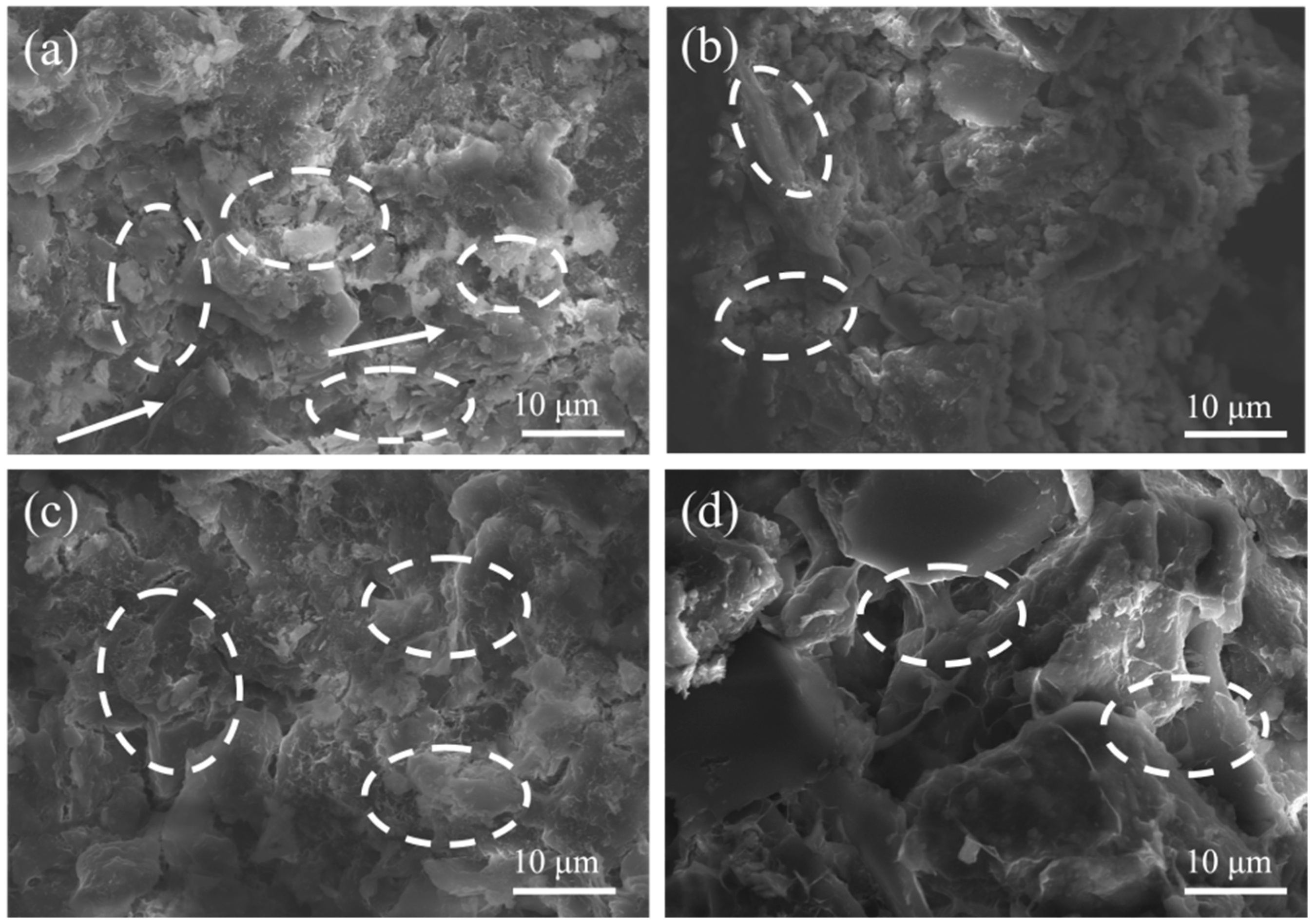 Applsci 14 07246 g008