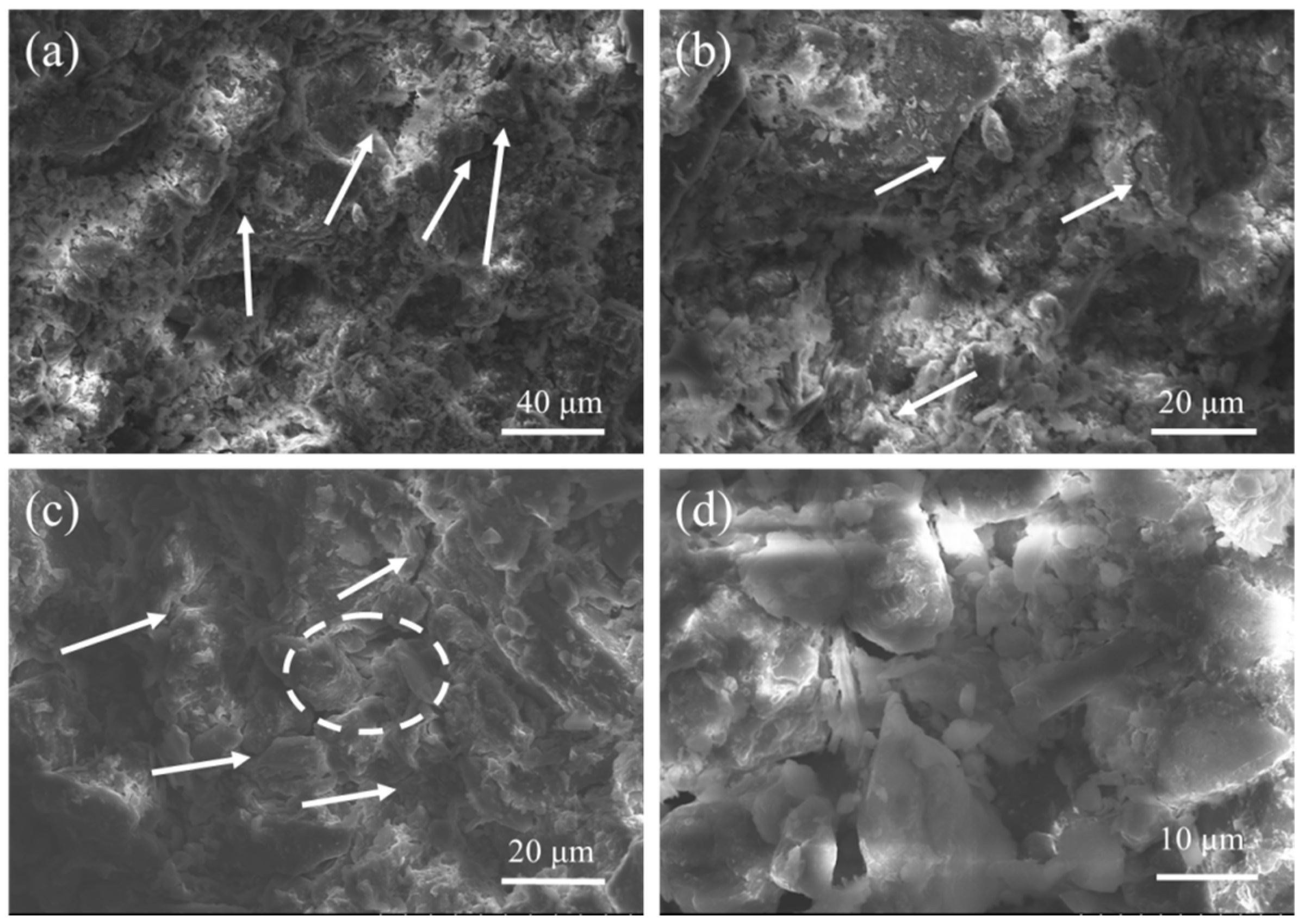 Applsci 14 07246 g010