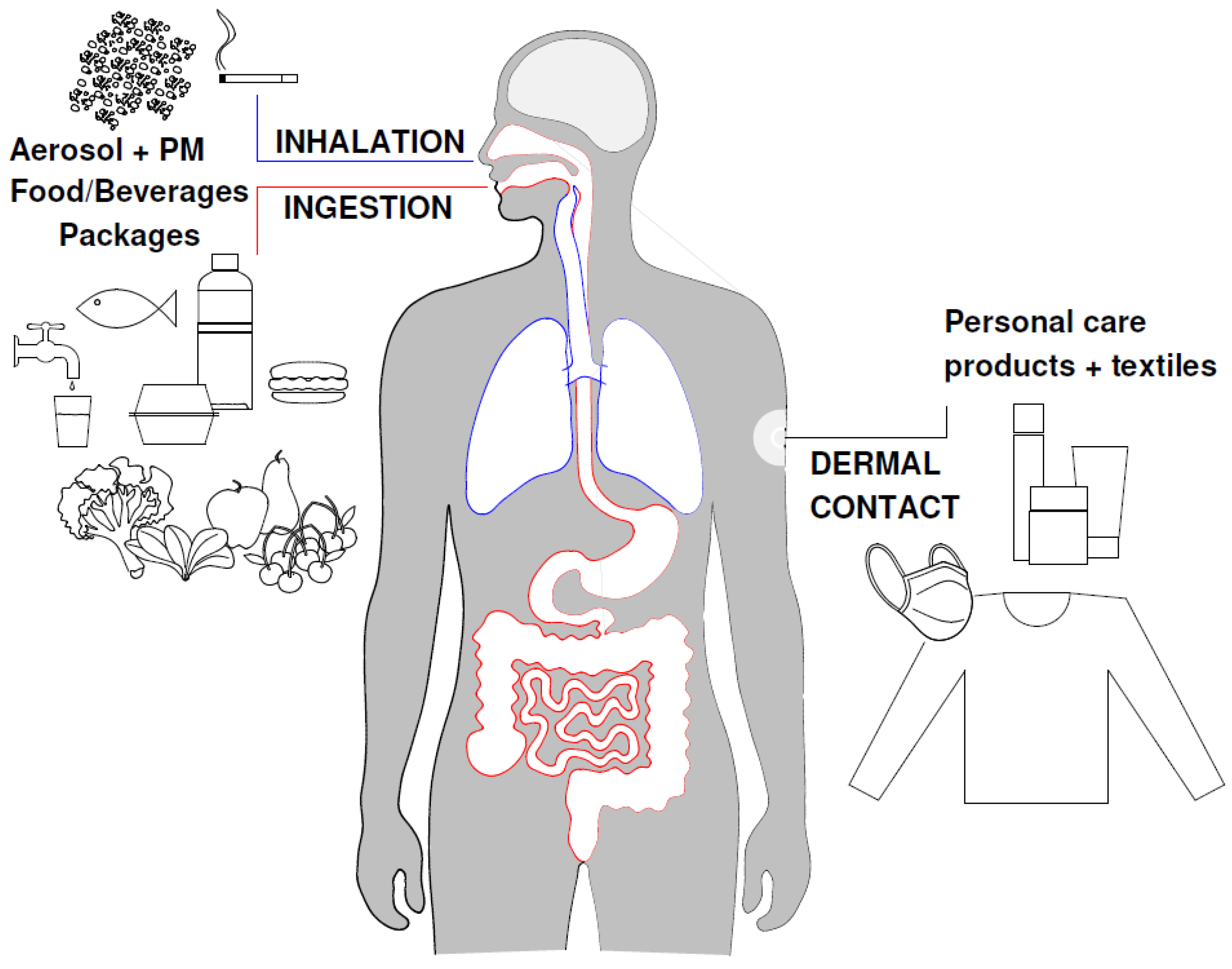 Applsci 14 07280 g001
