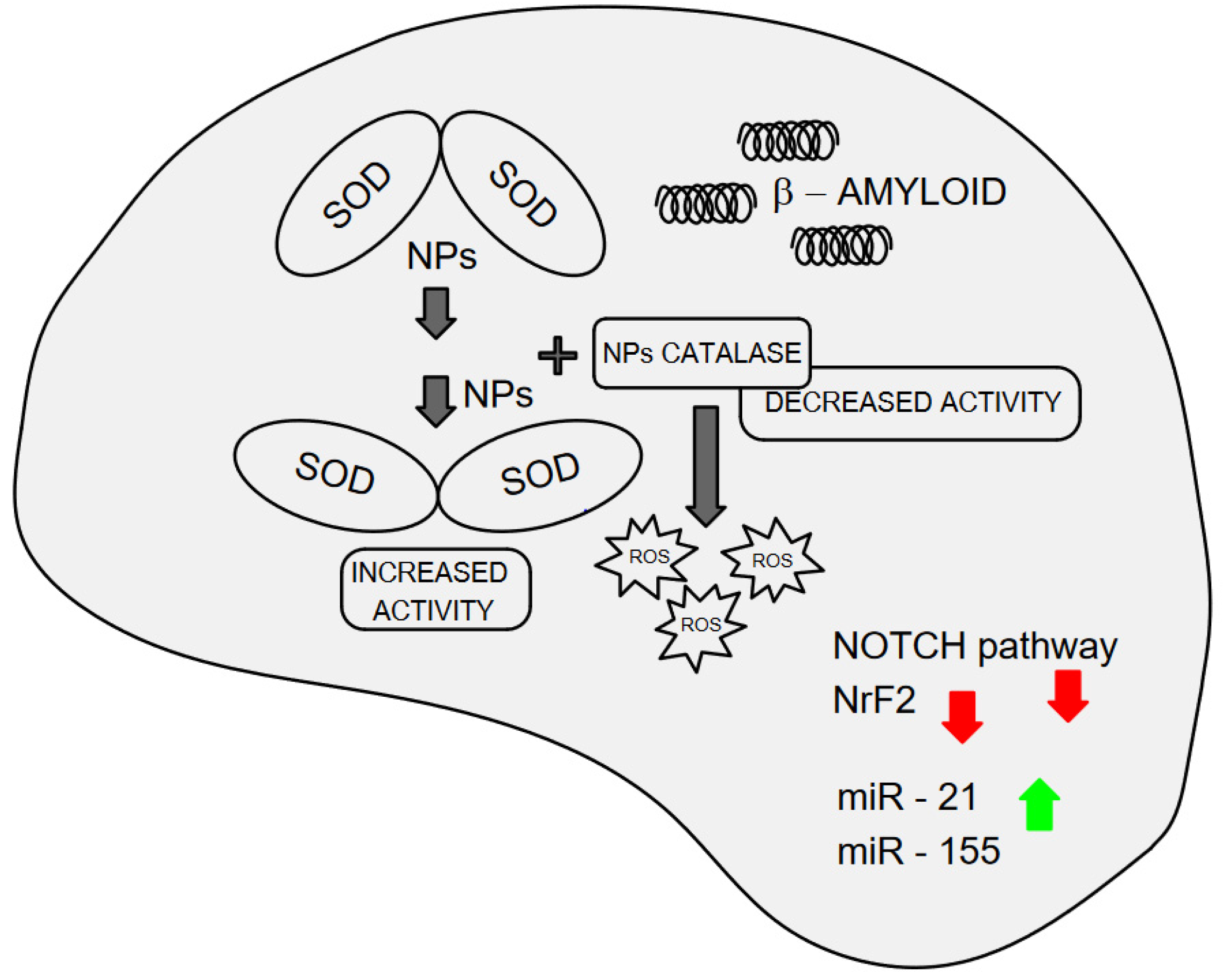 Applsci 14 07280 g002