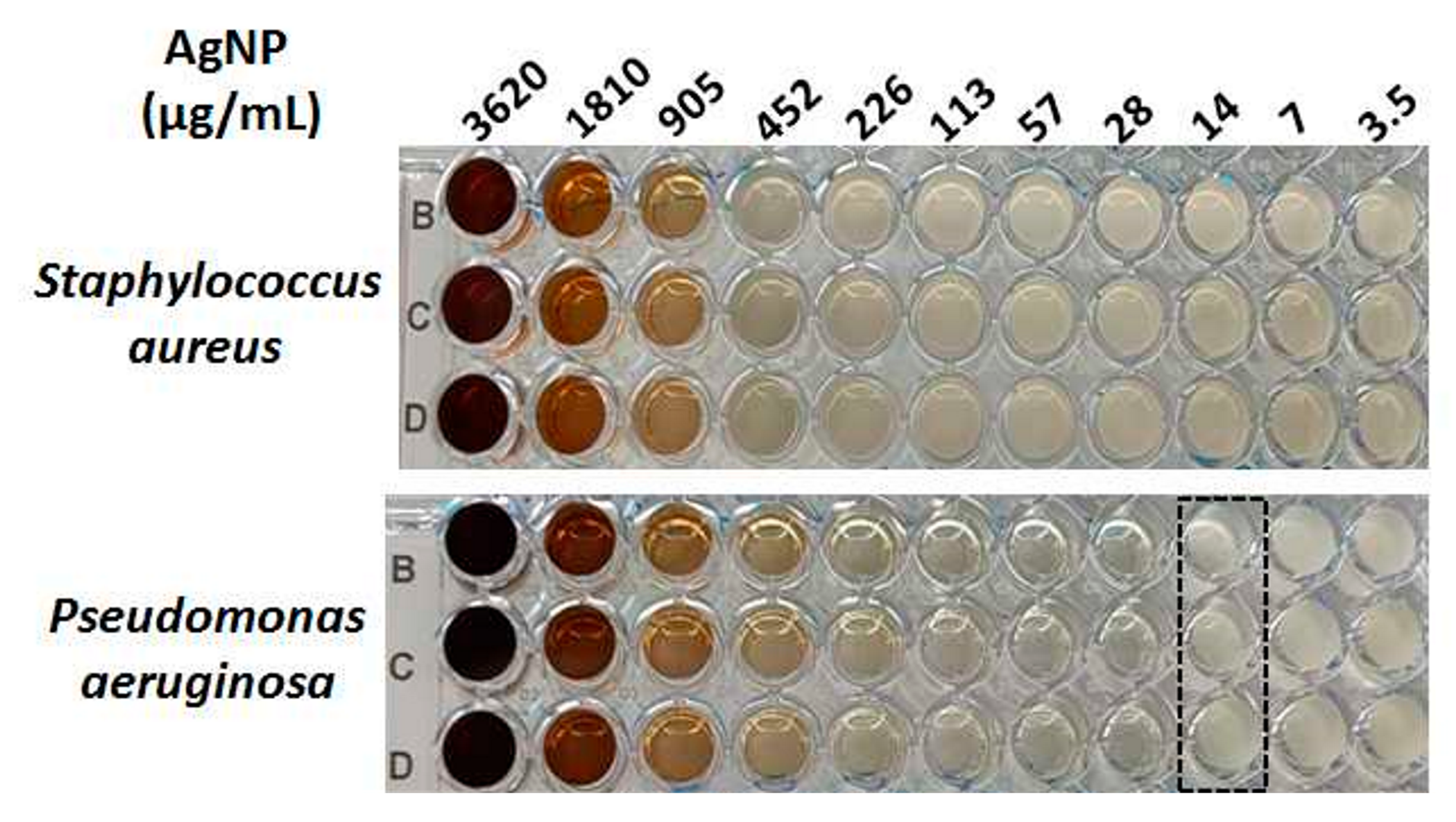 Applsci 14 07309 g007