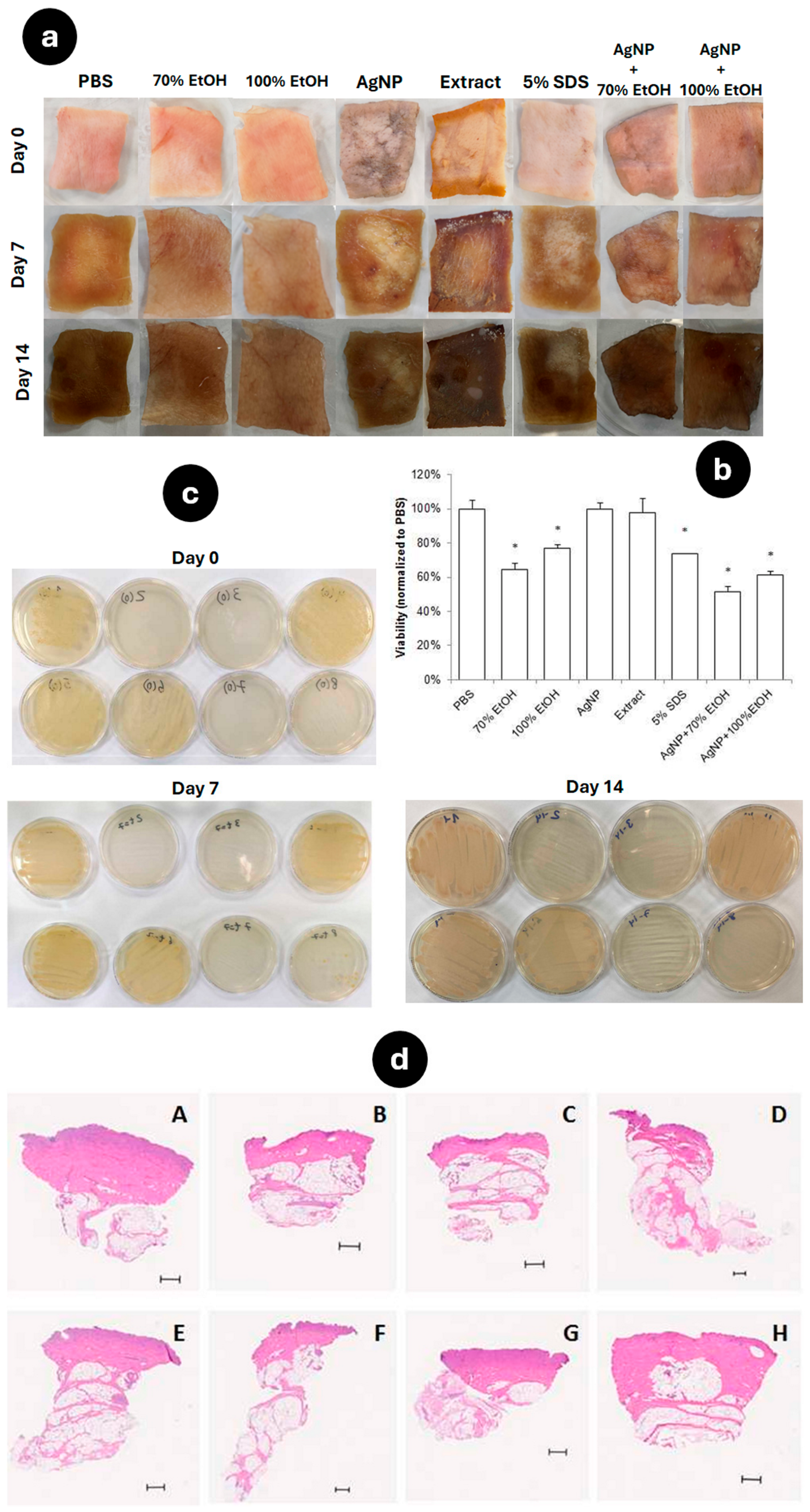 Applsci 14 07309 g008
