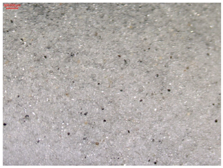 Applsci 14 07365 i005