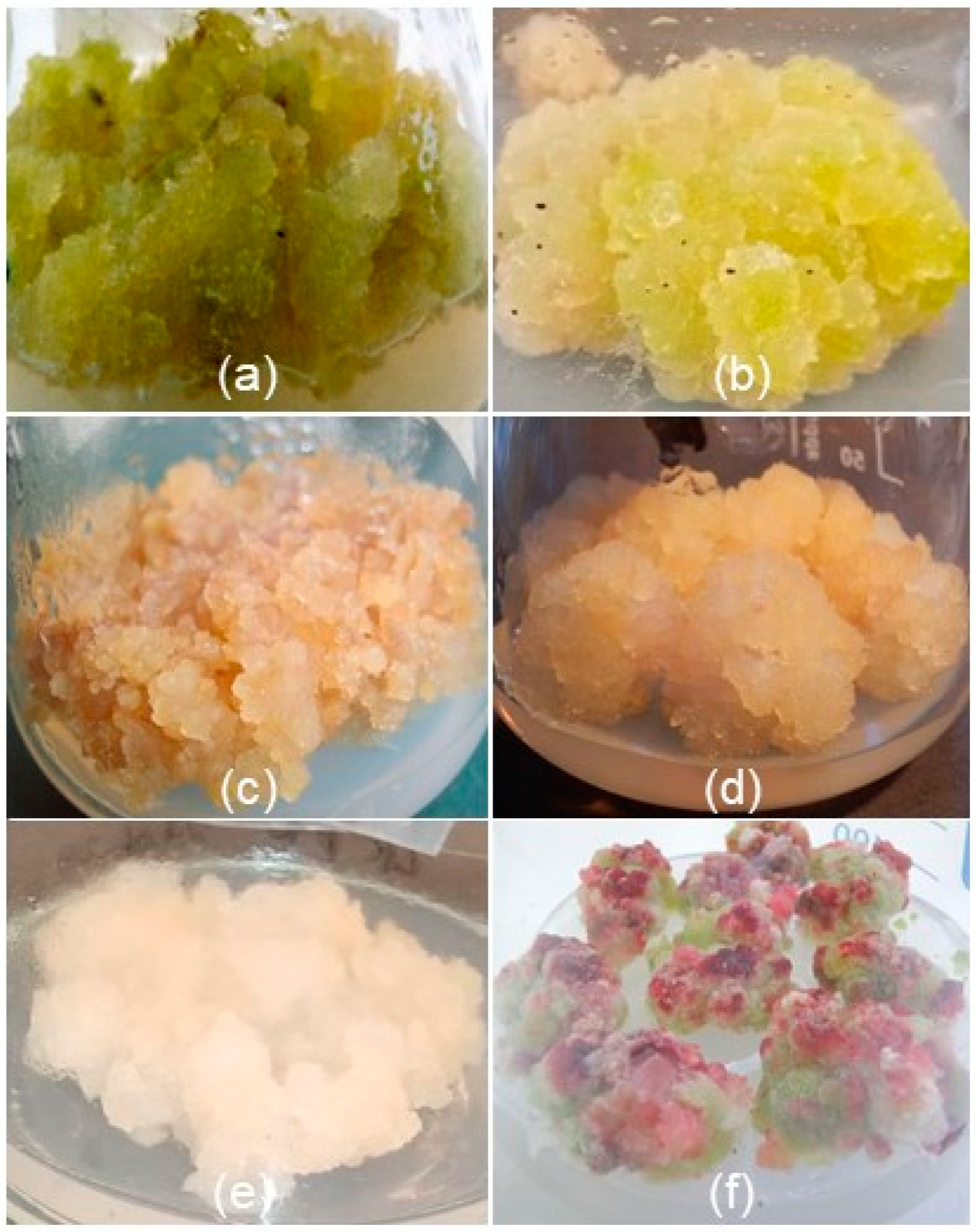 Applsci 14 07402 g001 Applsci 14 07402 g001