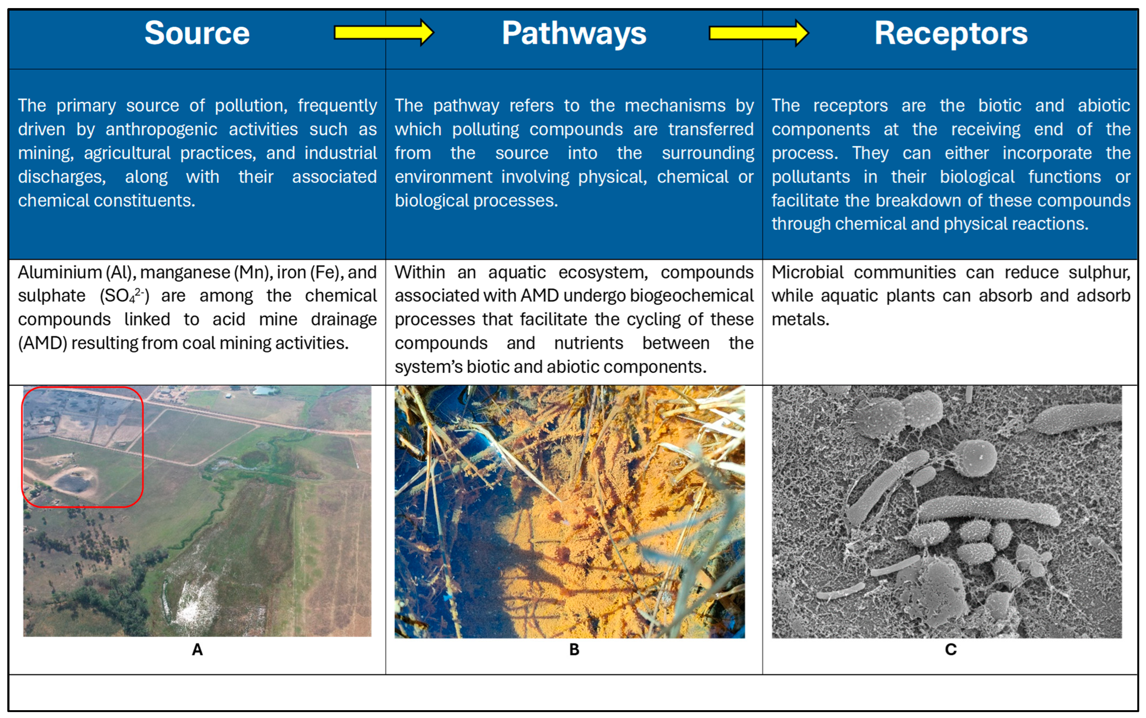Applsci 14 07441 g001 Applsci 14 07441 g001