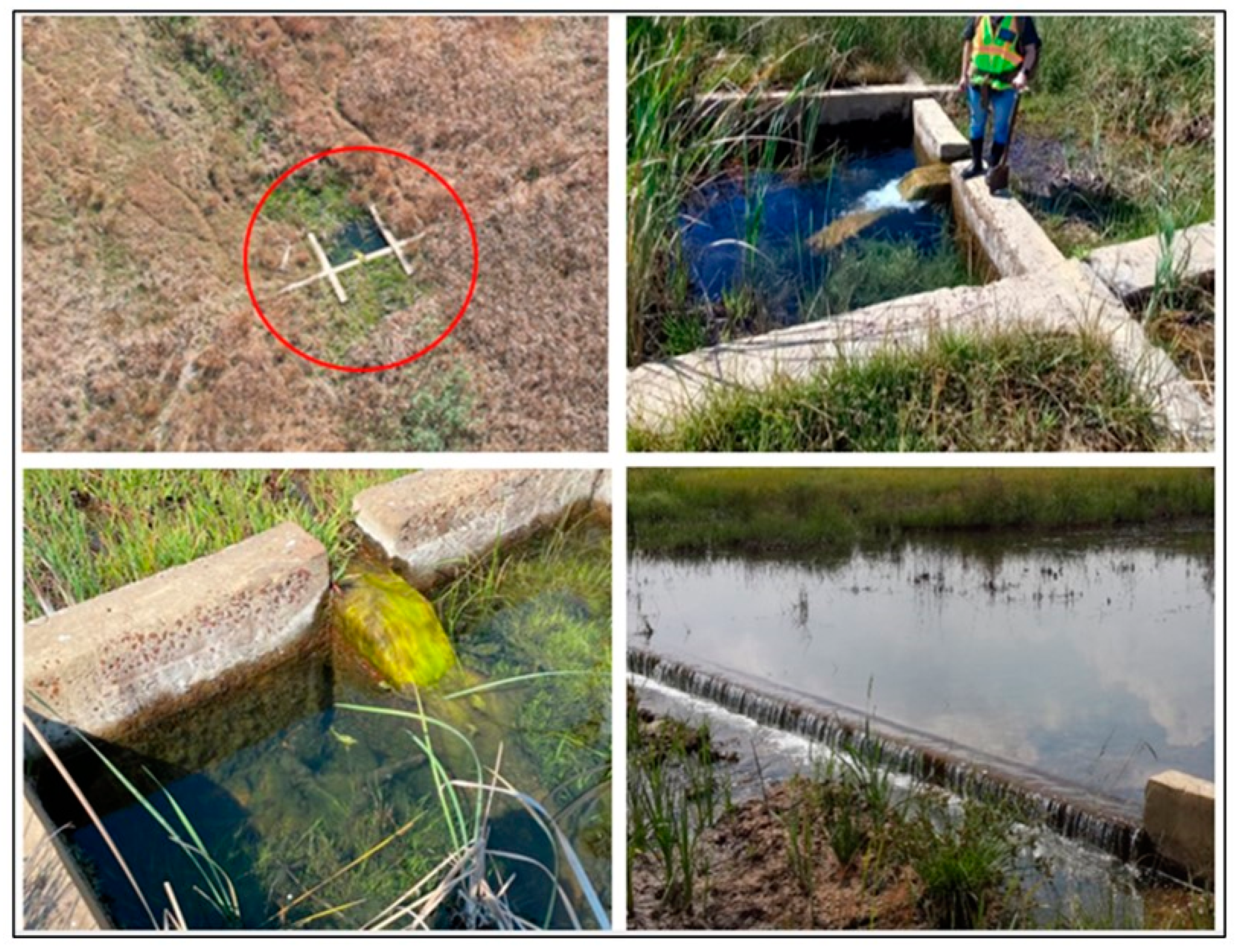 Applsci 14 07441 g003 Applsci 14 07441 g003