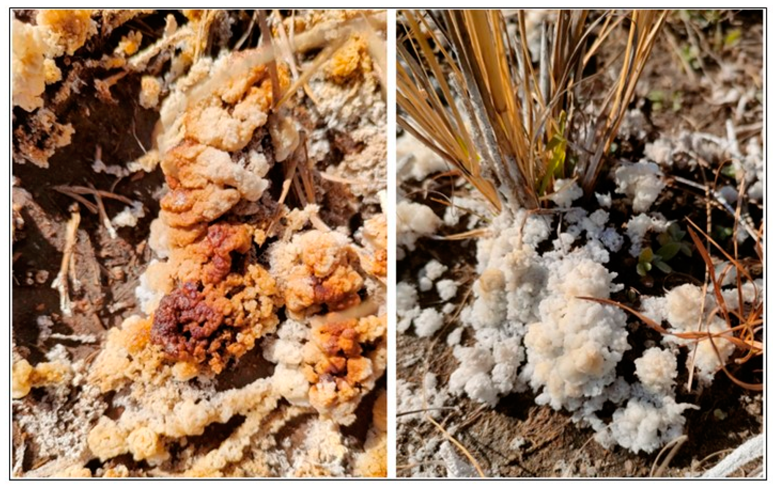 Applsci 14 07441 g009 Applsci 14 07441 g009