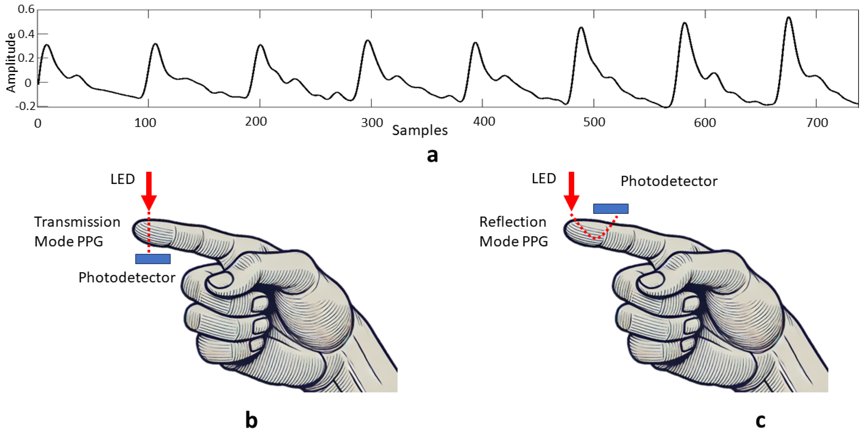 Applsci 14 07451 g006