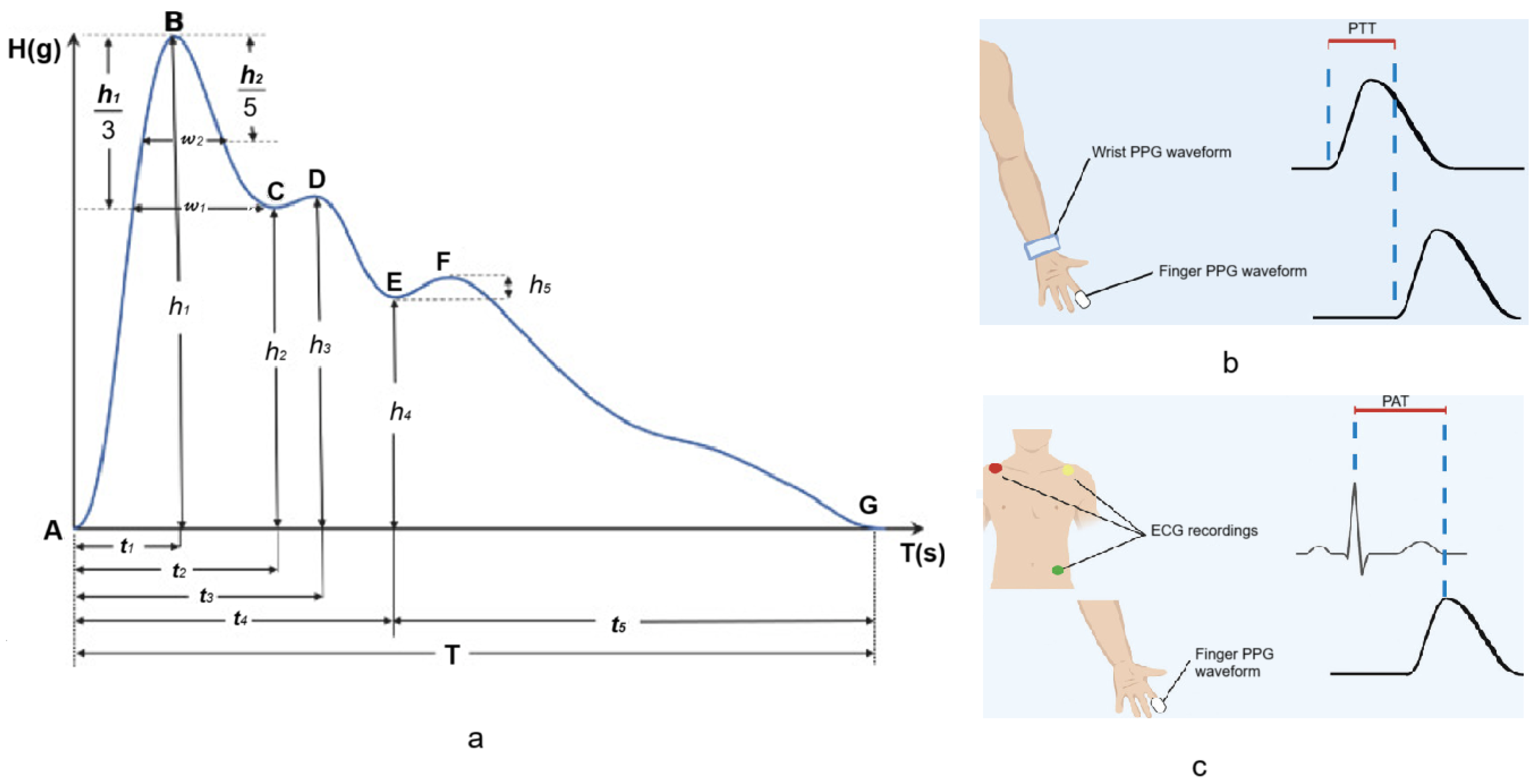 Applsci 14 07451 g007