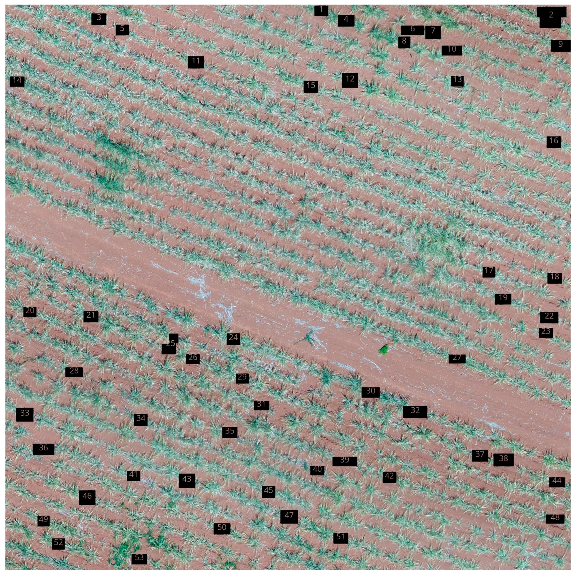 Applsci 14 07454 g018 Applsci 14 07454 g018