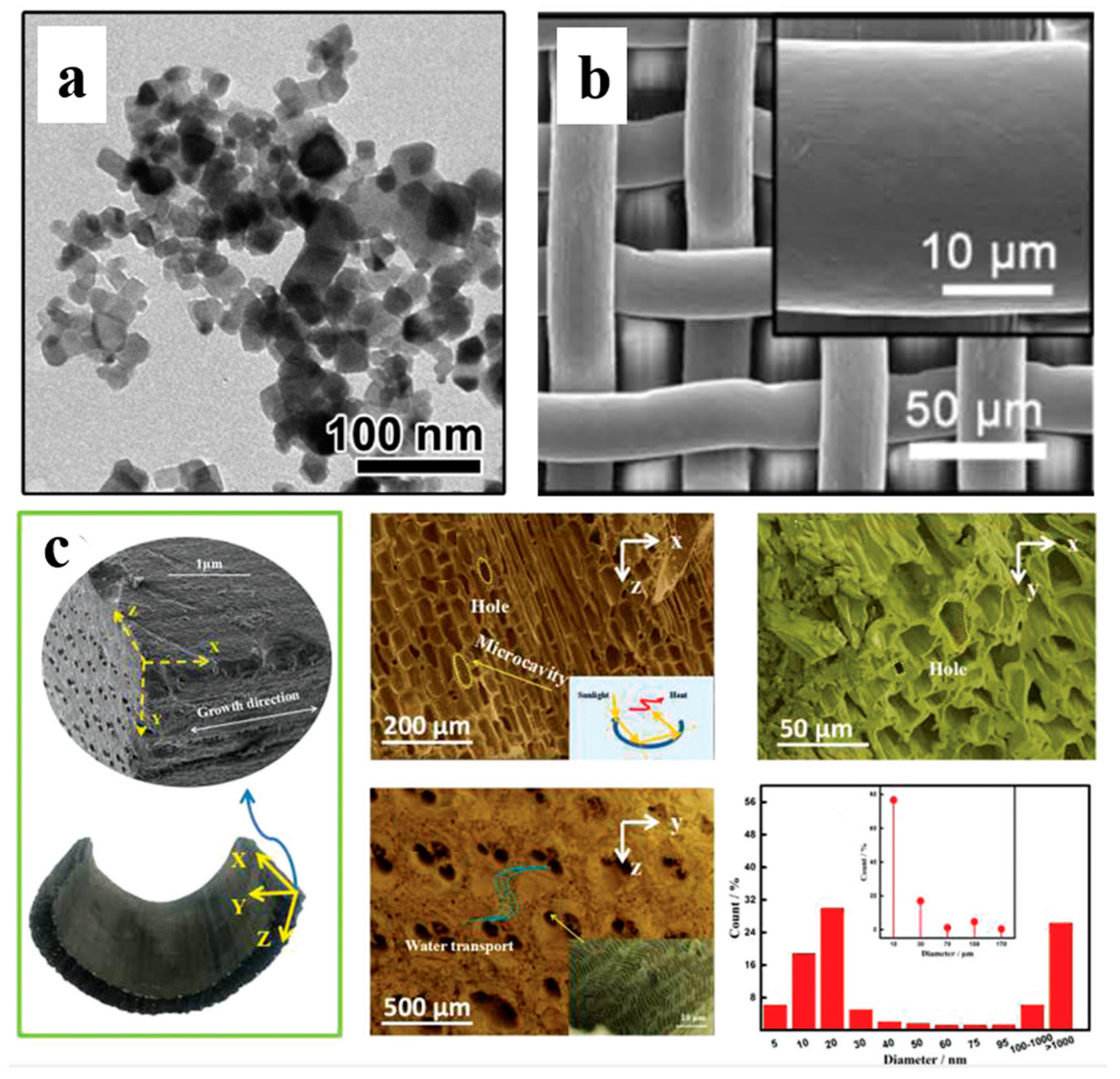 Applsci 14 07523 g005