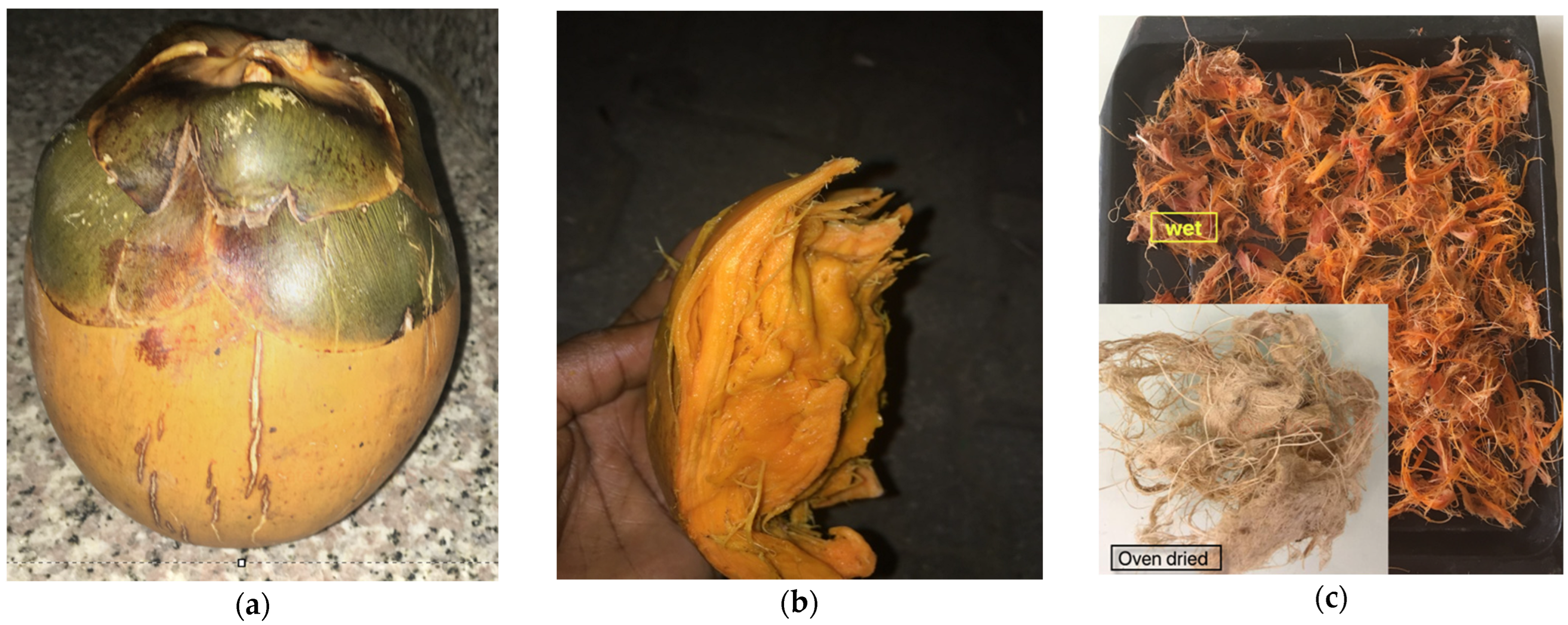 Applsci 14 07540 g001