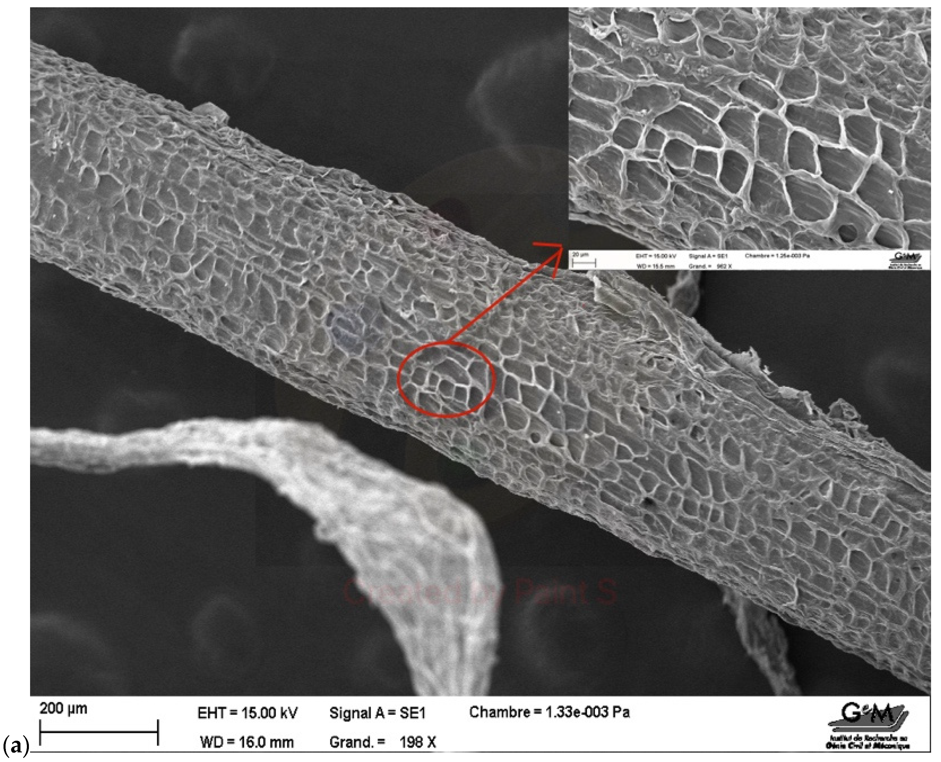 Applsci 14 07540 g003a