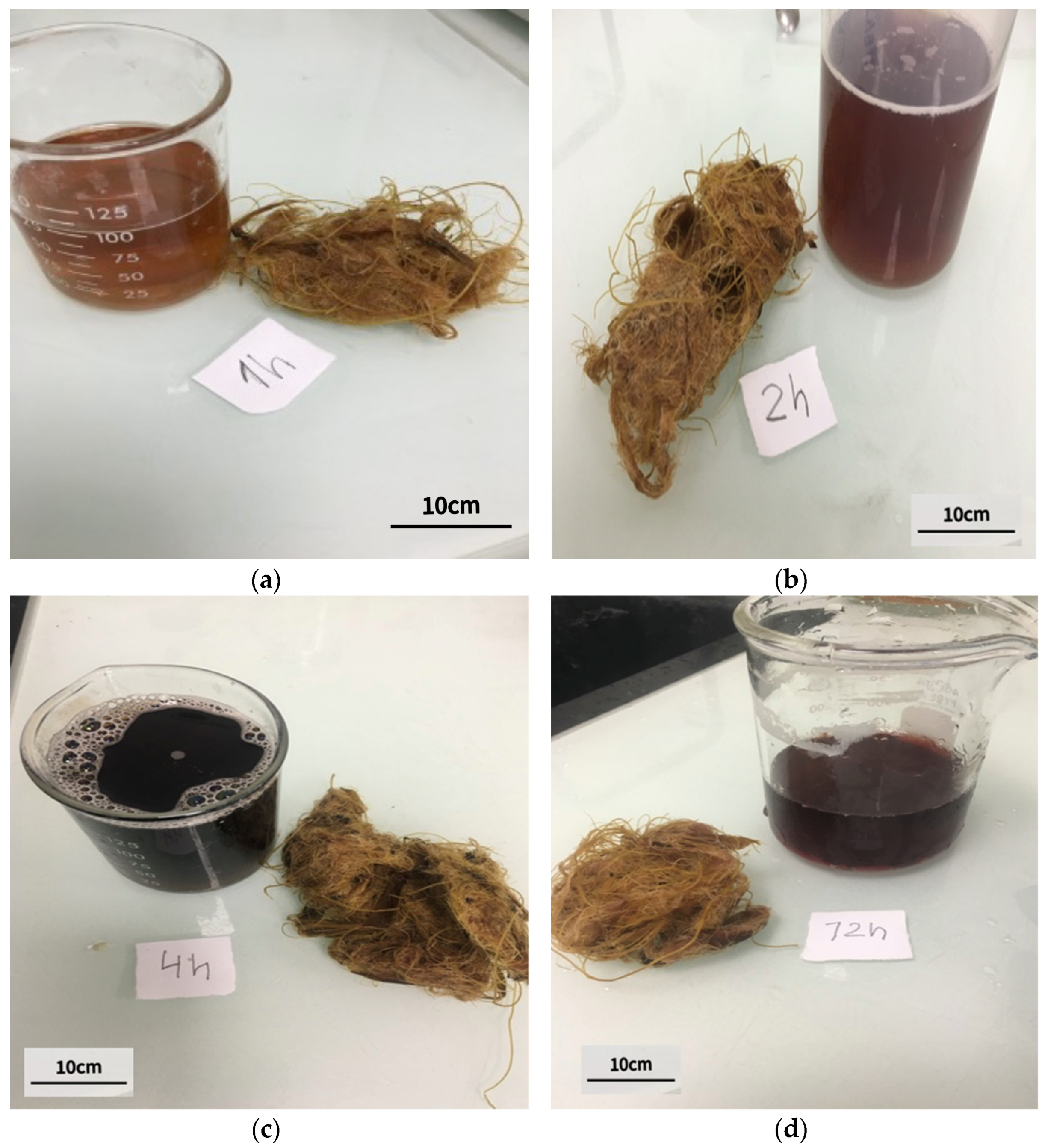 Applsci 14 07540 g004