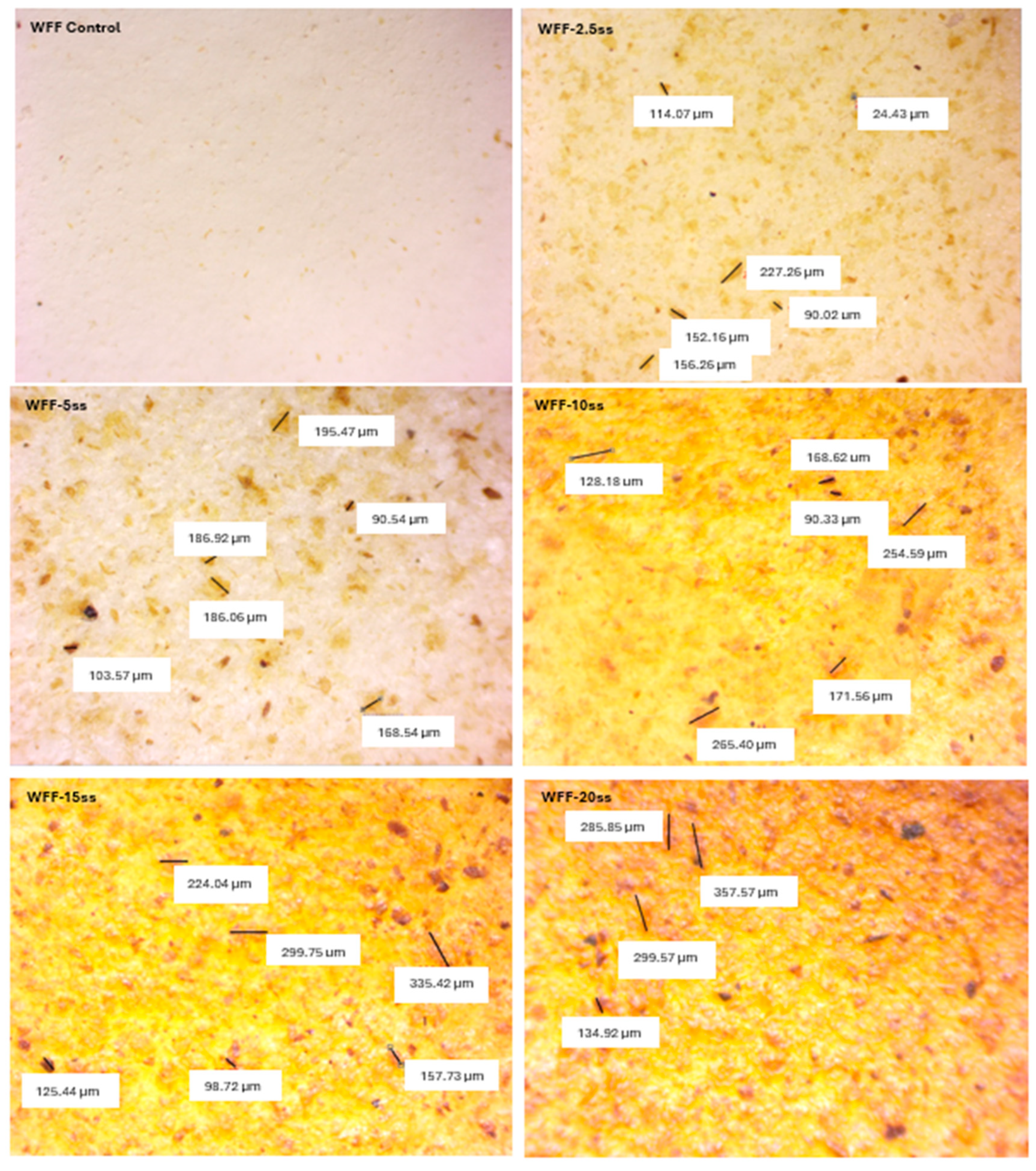 Applsci 14 07563 g001