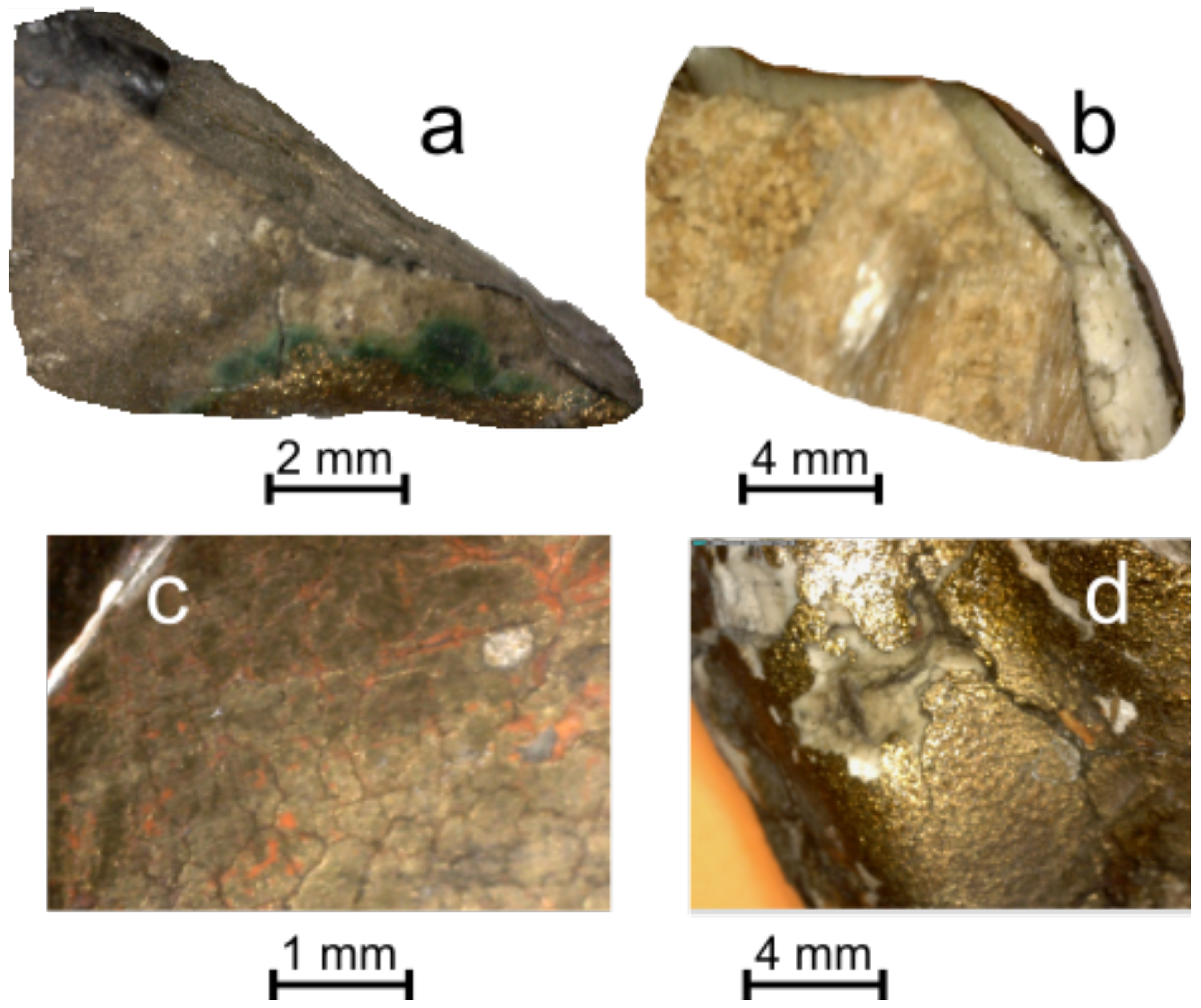 Applsci 14 07565 g003