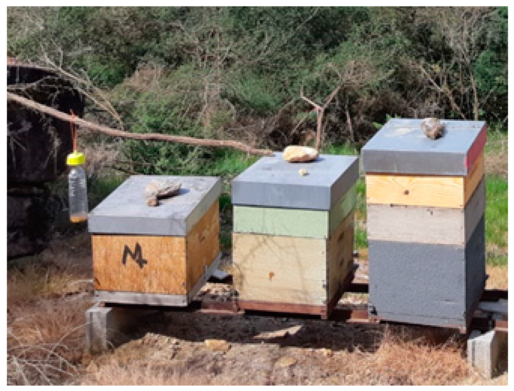 Applsci 14 07571 g003 Applsci 14 07571 g003