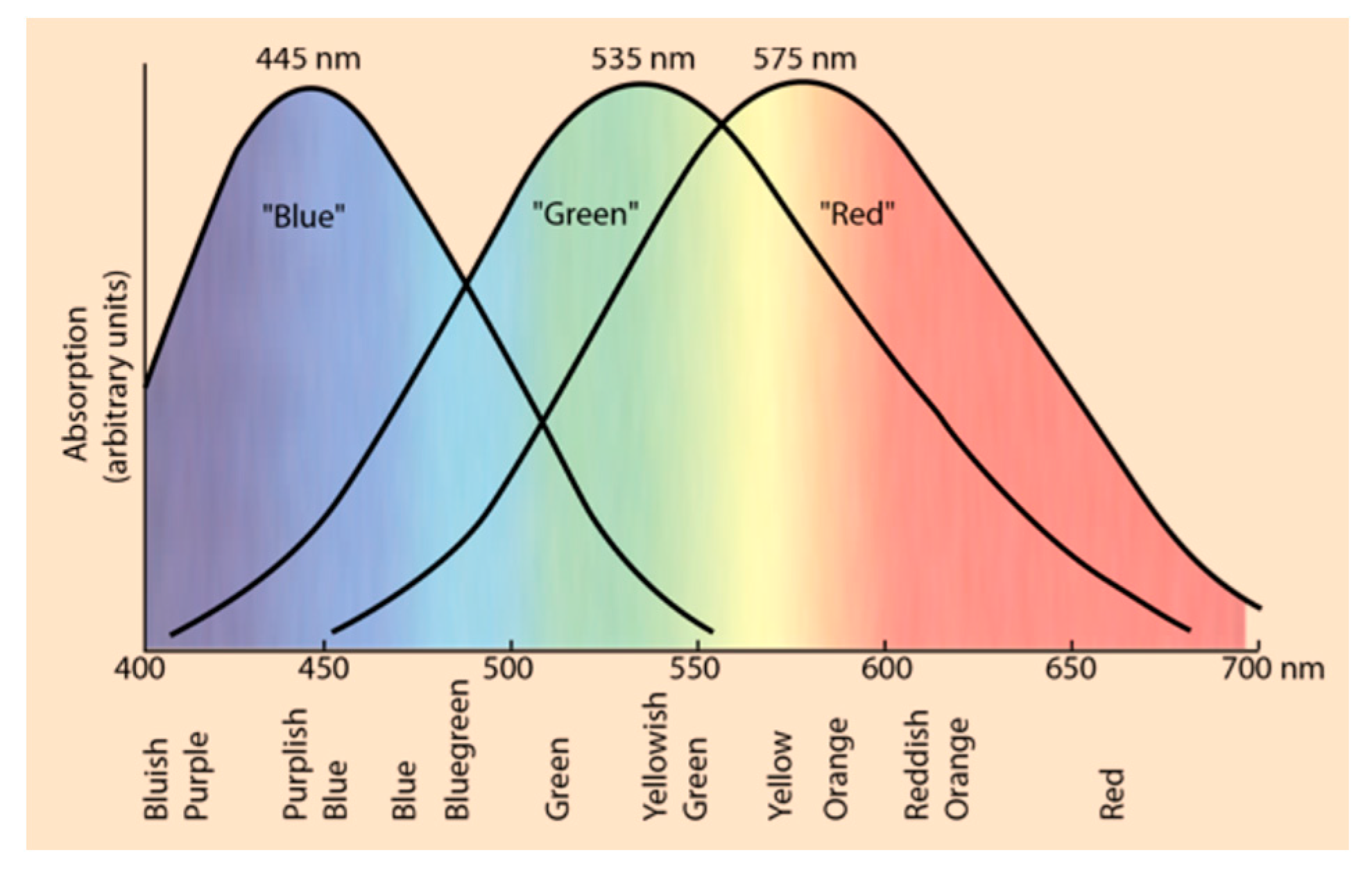 Applsci 14 07579 g002