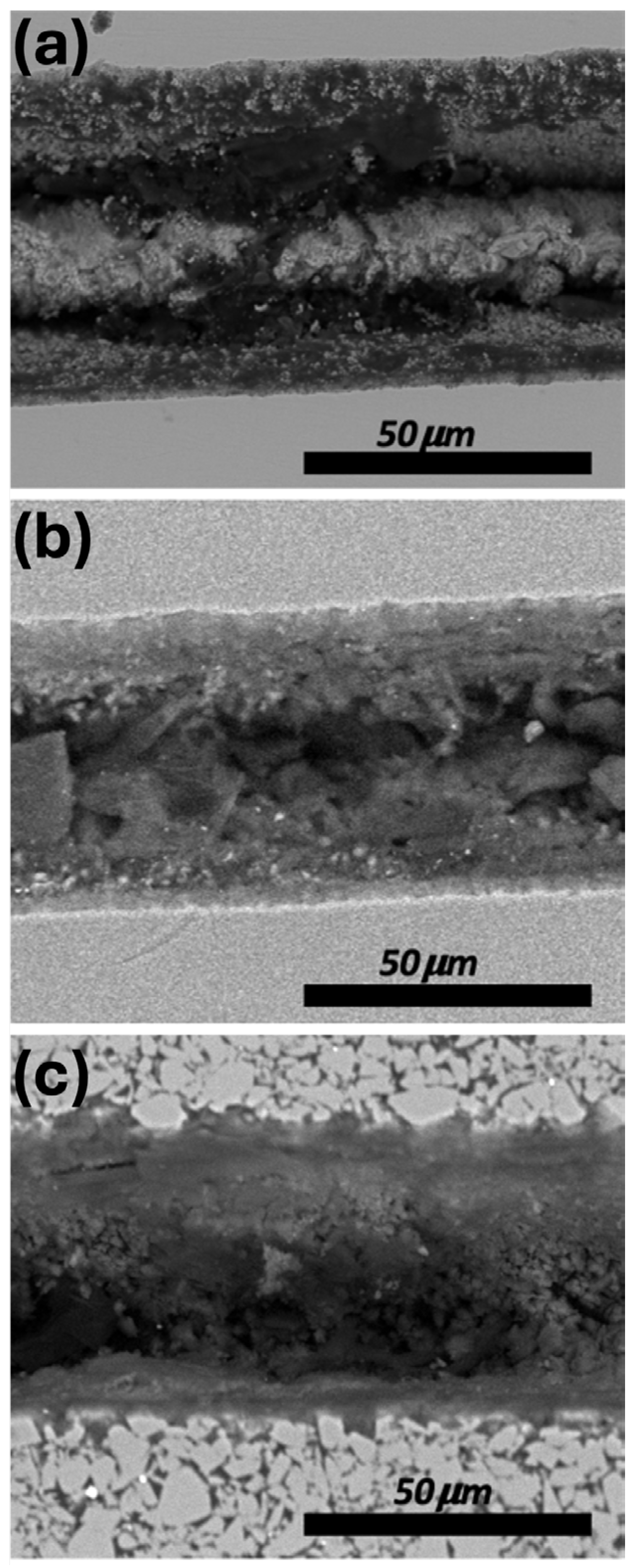 Applsci 14 07641 g005