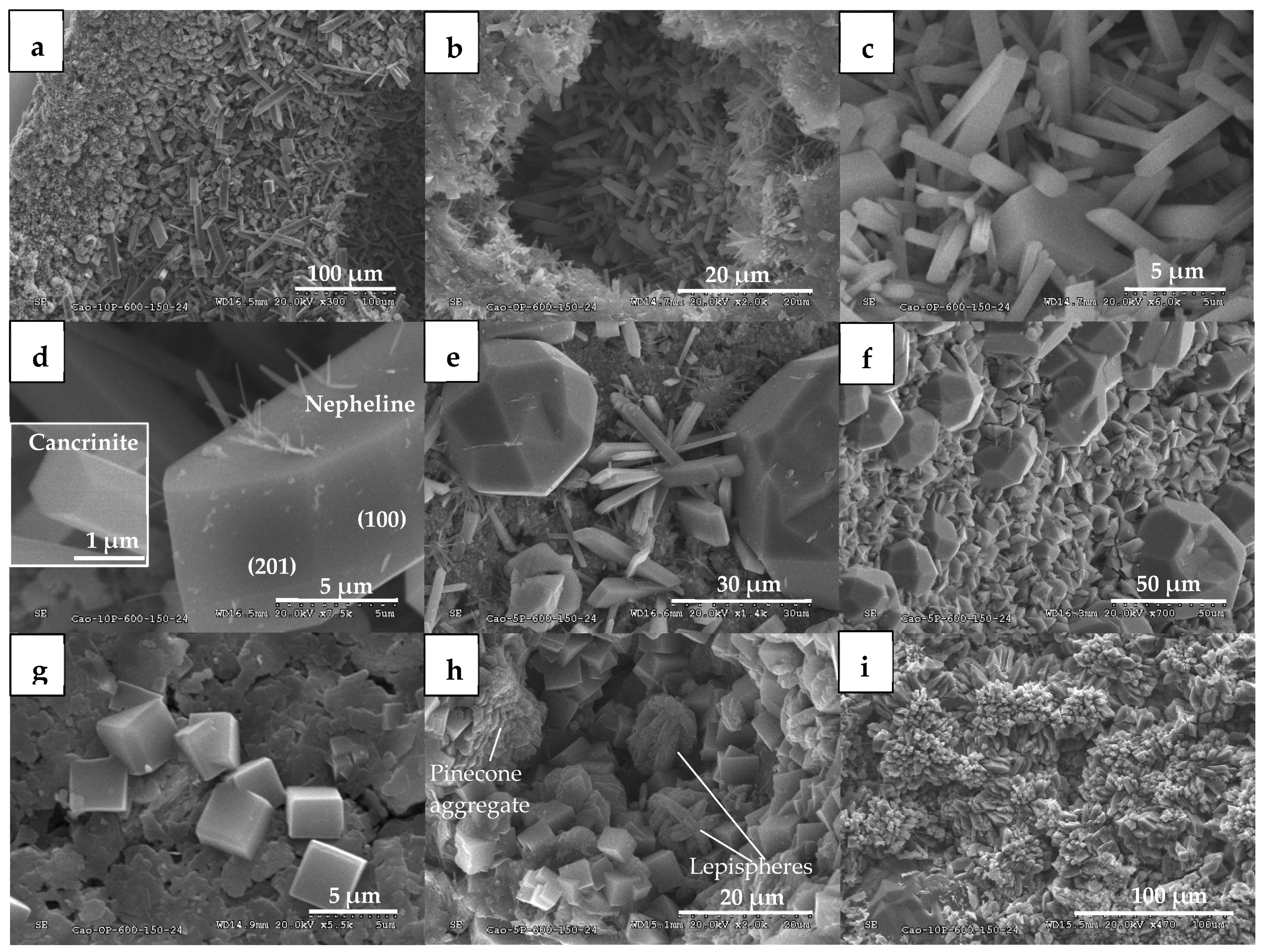 Applsci 14 07674 g005