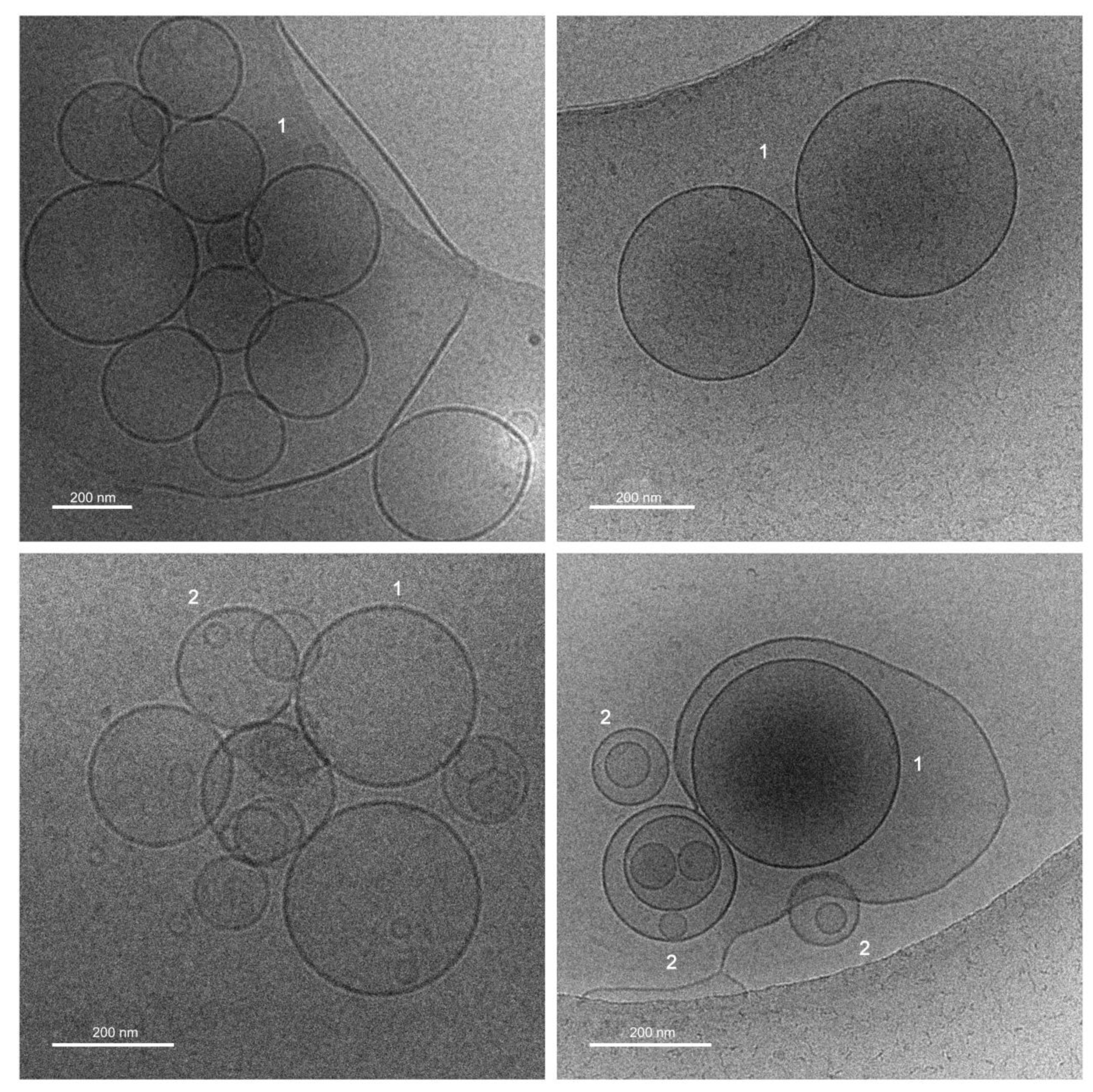 Applsci 14 07718 g003