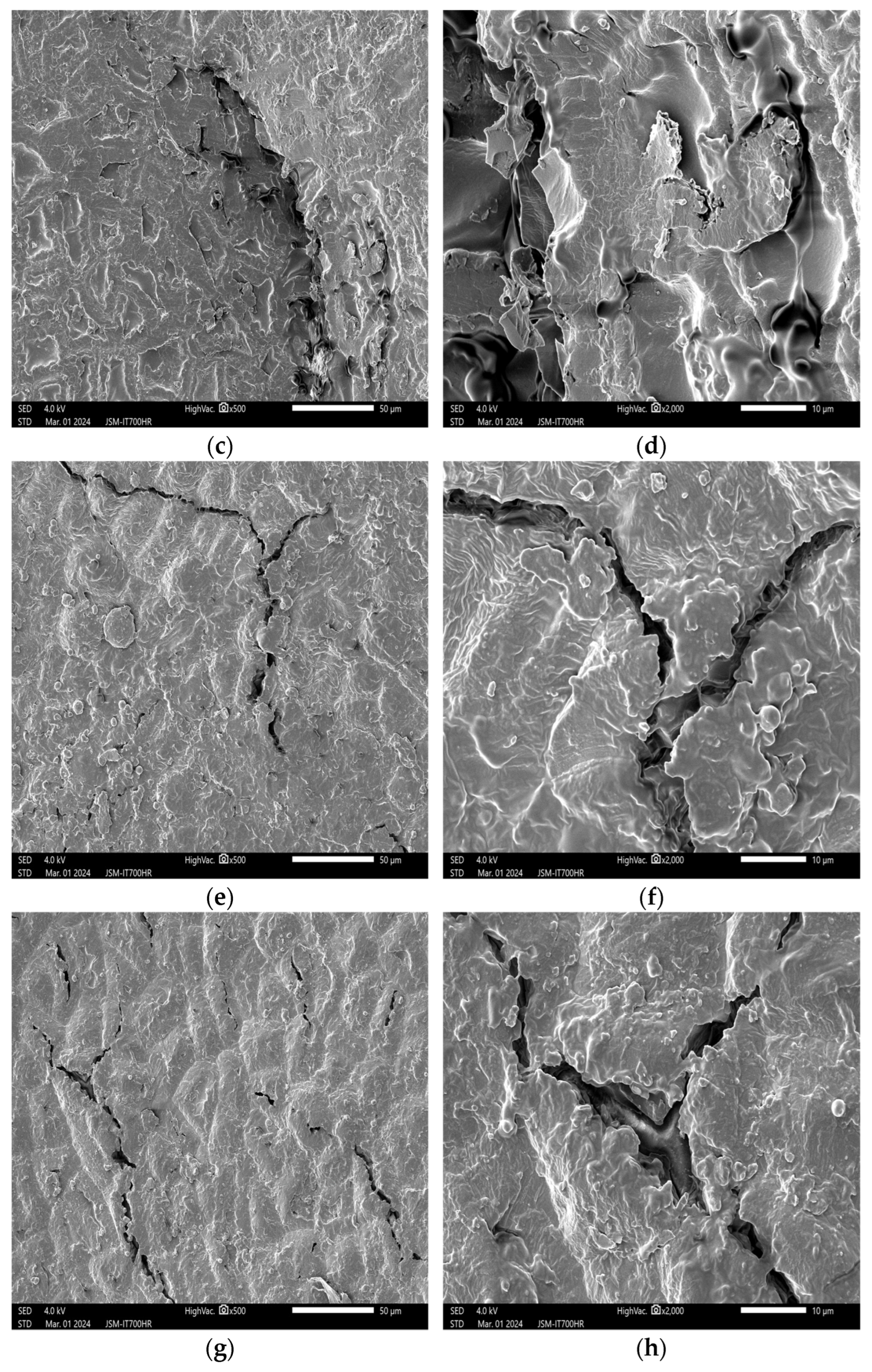 Applsci 14 07752 g001b