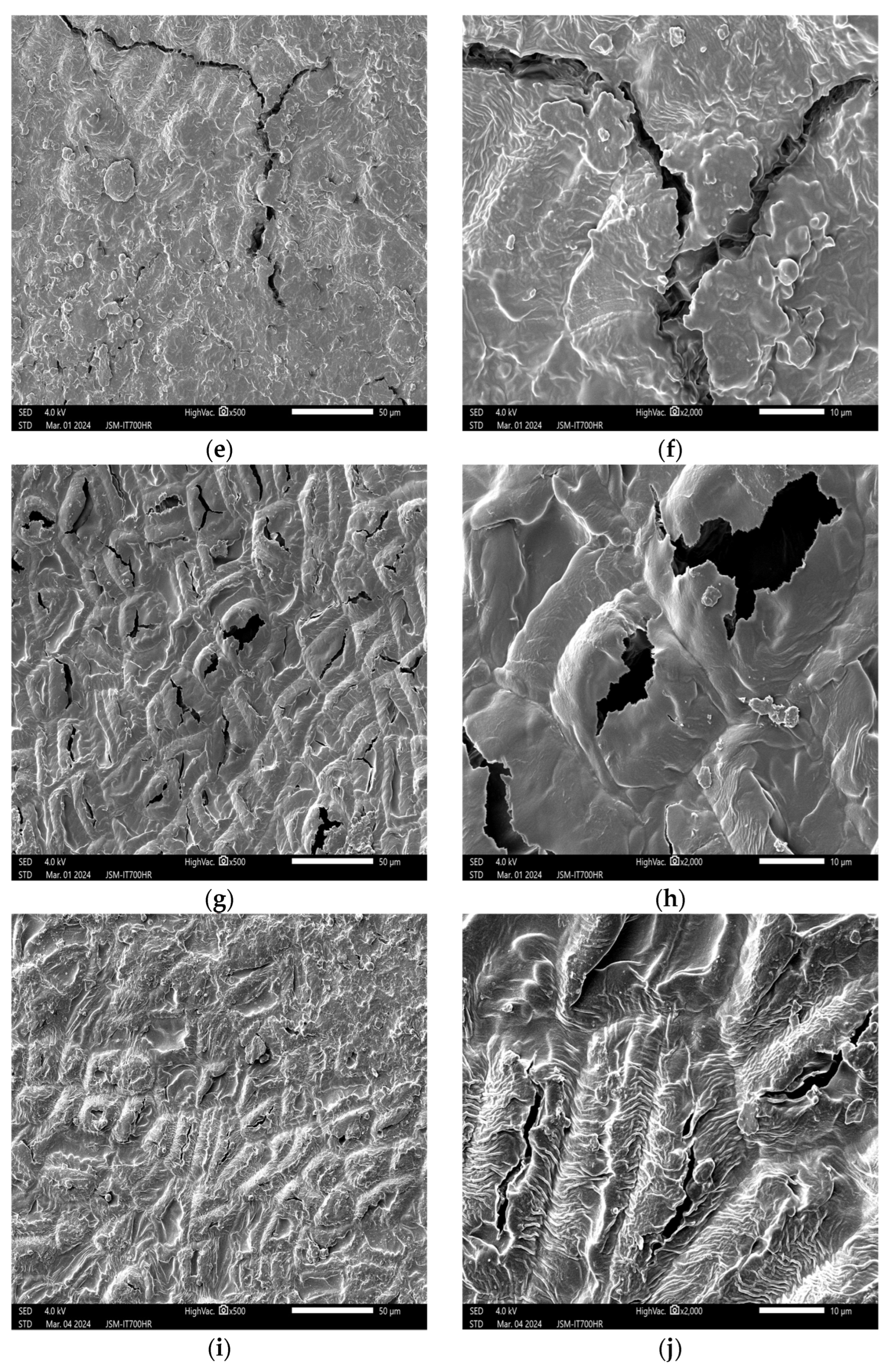 Applsci 14 07752 g002b