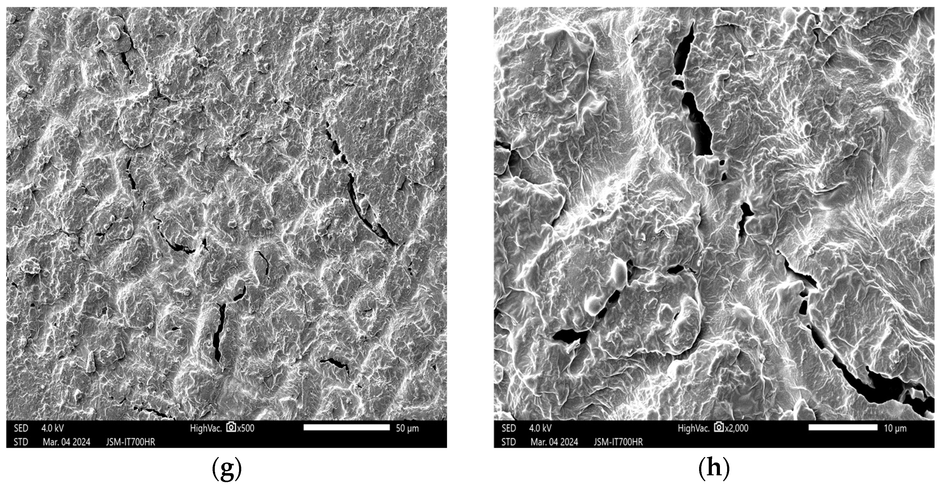 Applsci 14 07752 g003b