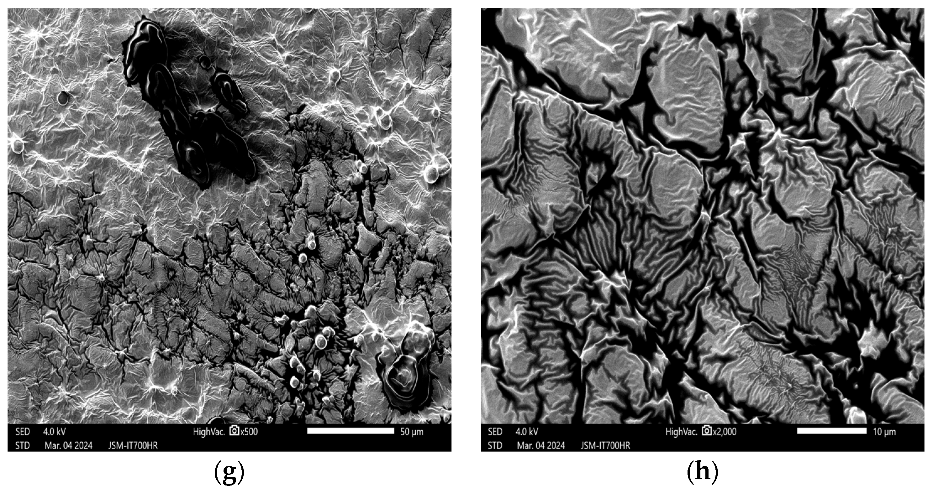 Applsci 14 07752 g006b