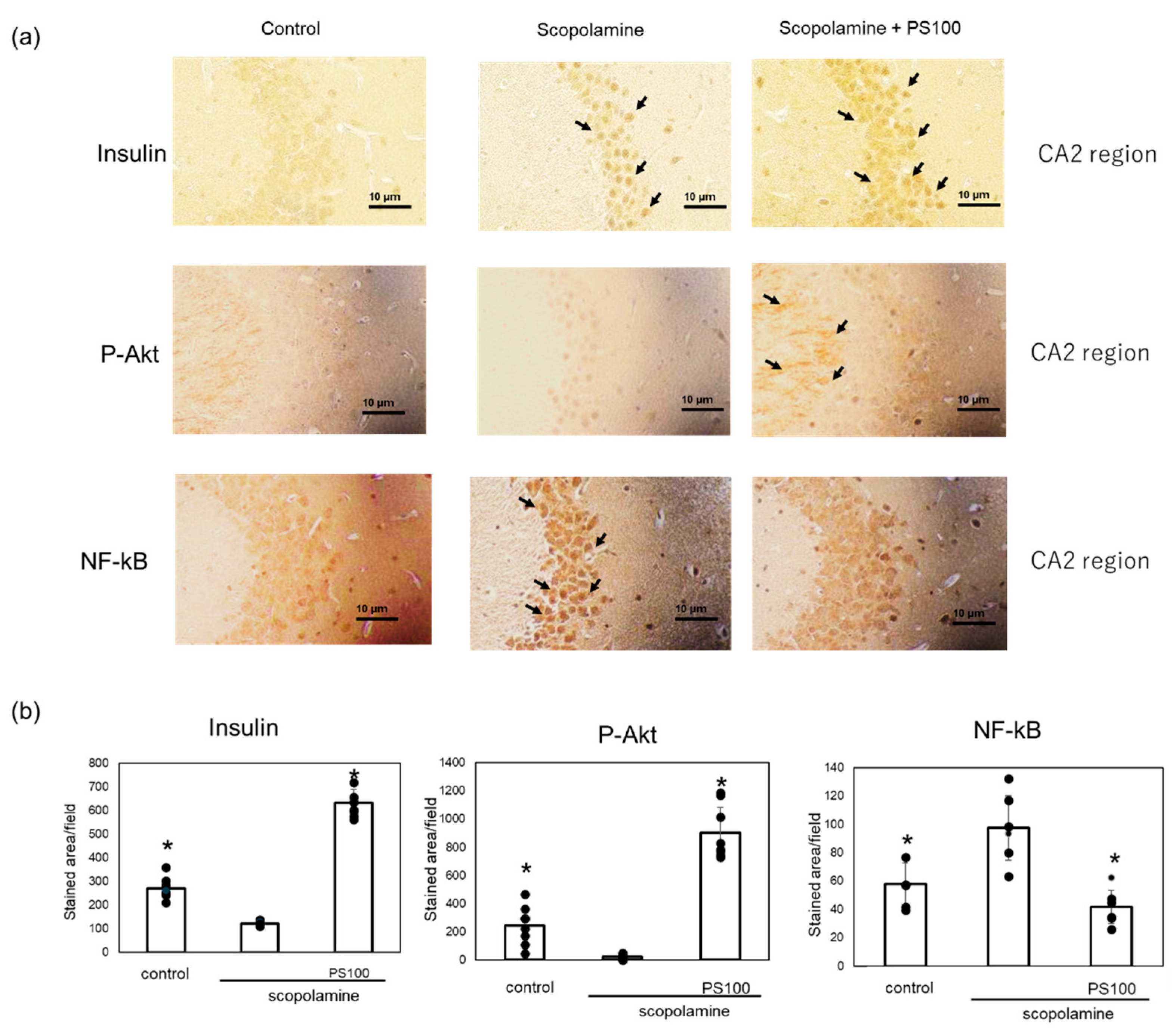 Applsci 14 07830 g006
