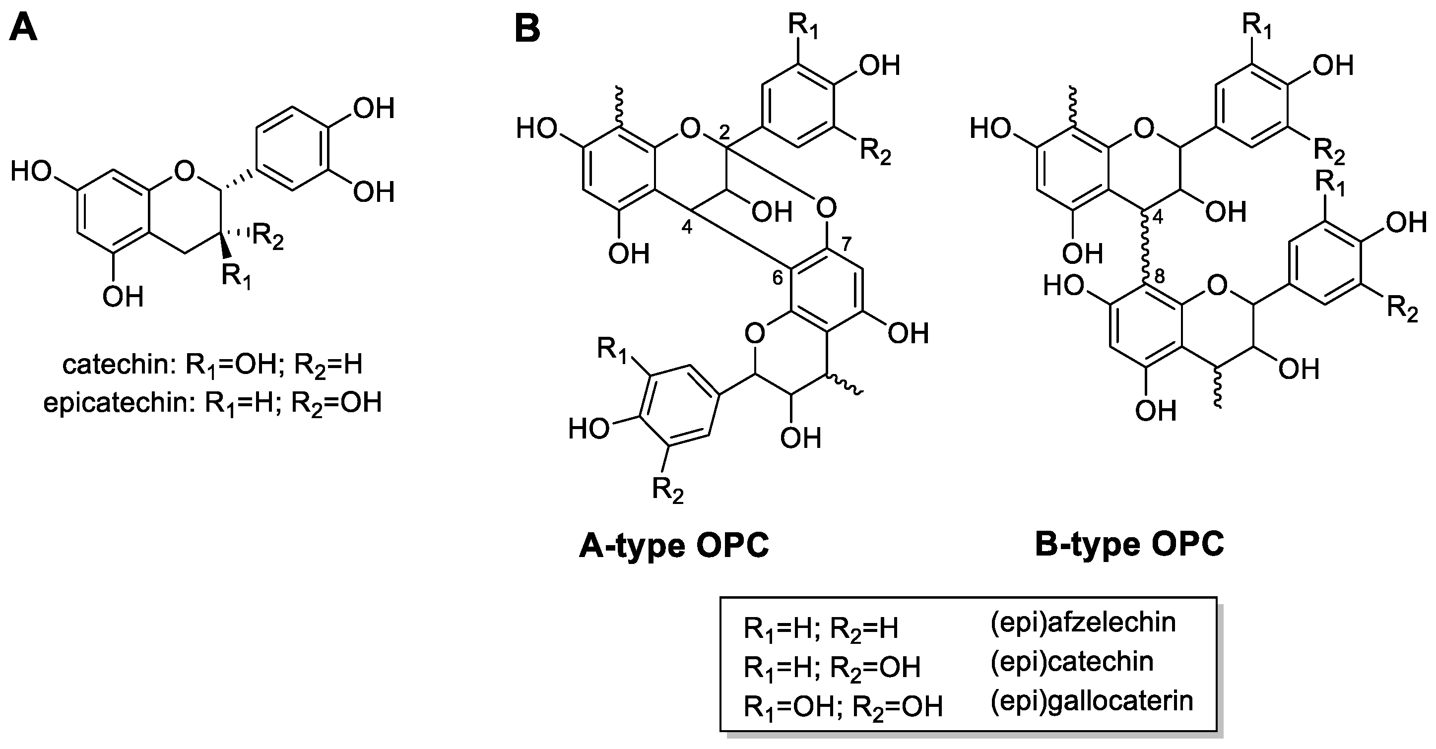 Applsci 14 07839 g001