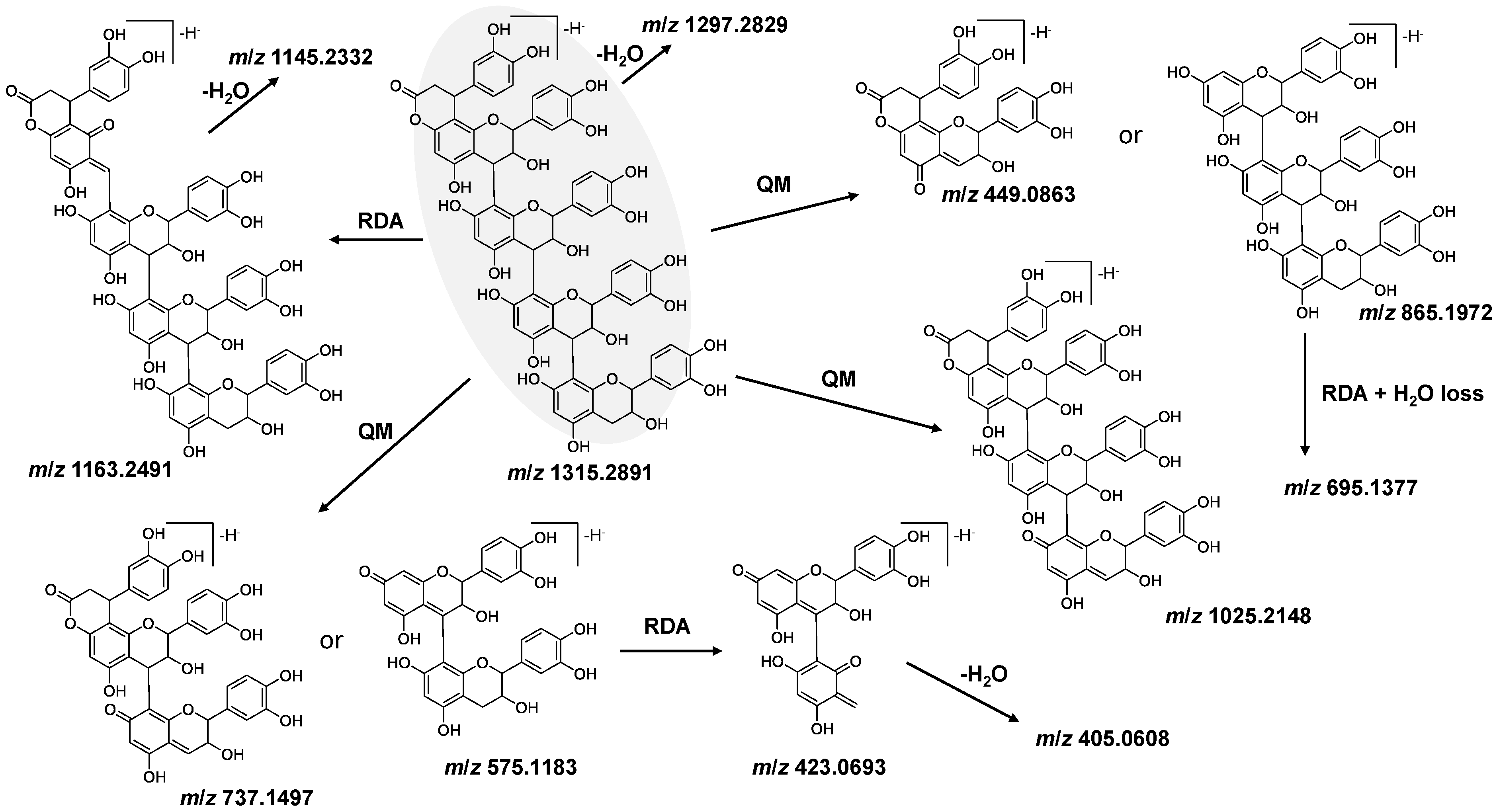 Applsci 14 07839 g005